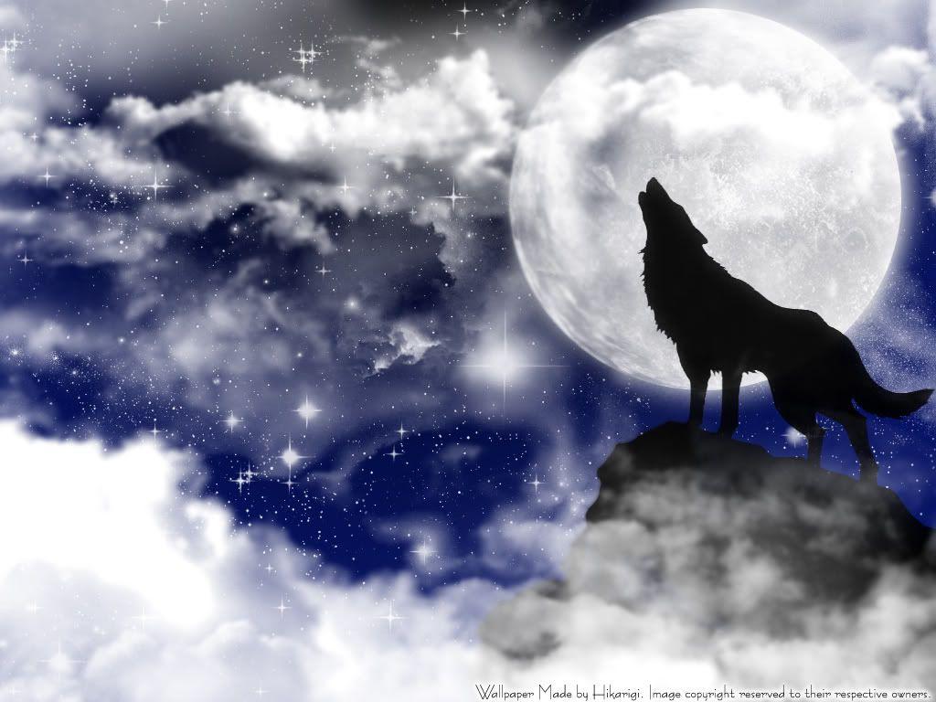 1024x768 Wolf Wallpaper, Background, Theme, Desktop. Wolf wallpaper, American wallpaper, Wolf howling