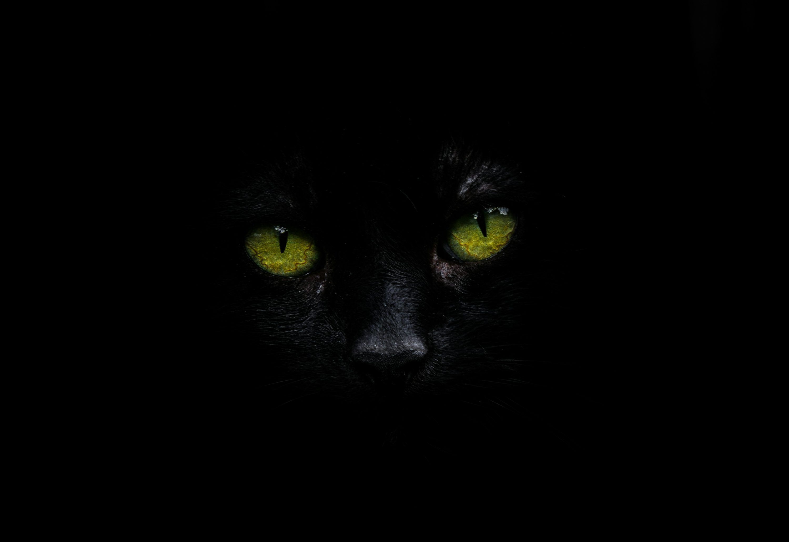 3000x2062 Focus Wallpaper 4K & HD Downloads