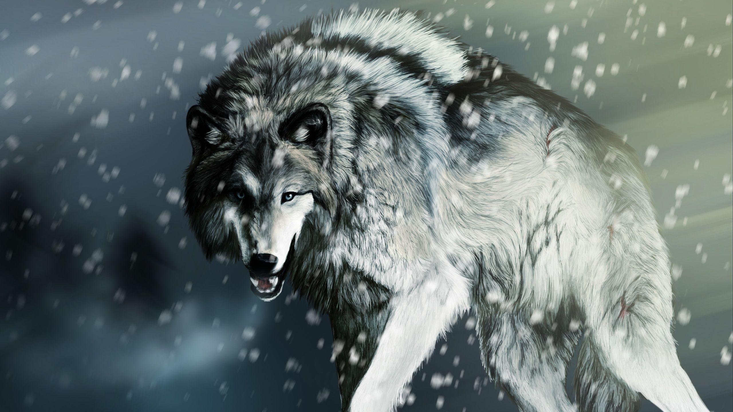 2560x1440 Mac Computer Wolf Wallpaper