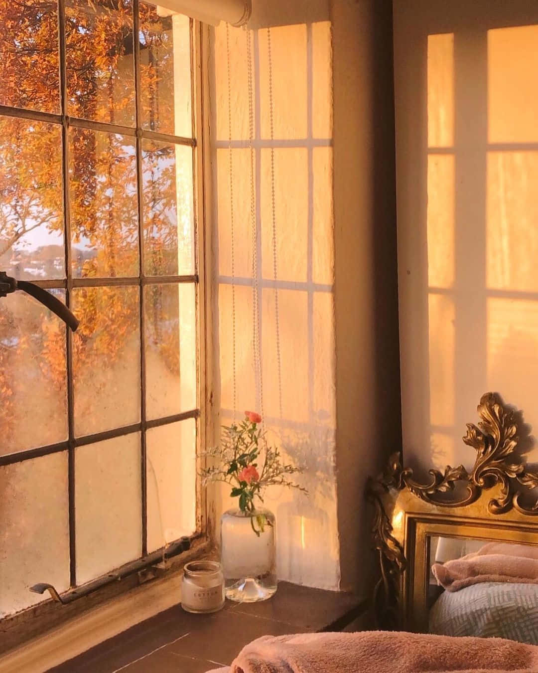 1080x1350 Download Window Morning Sunlight Wallpaper
