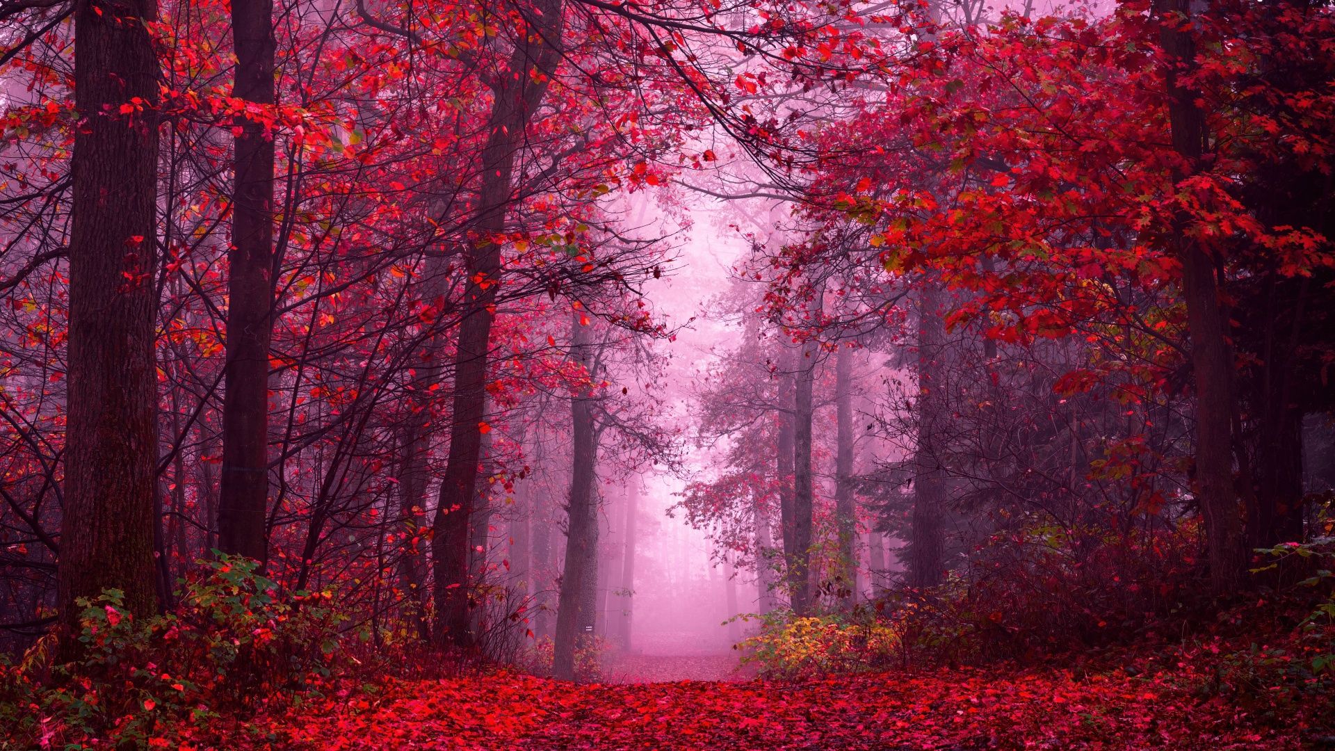 1920x1080 1920x1080 HD 16:9 High Quality Desktop Wallpaper for UltraHD TV, Smartphone, Tablet