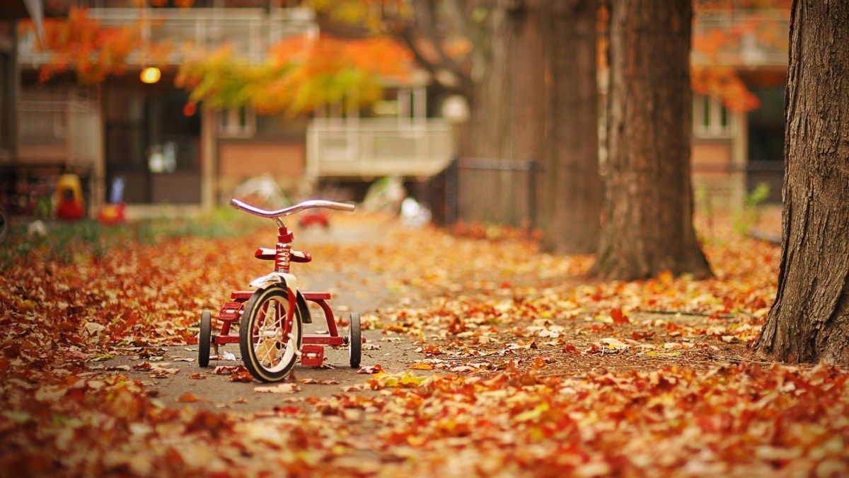 1200x675 Kid Tricycle Autumn Wallpaper HD Wallpaper