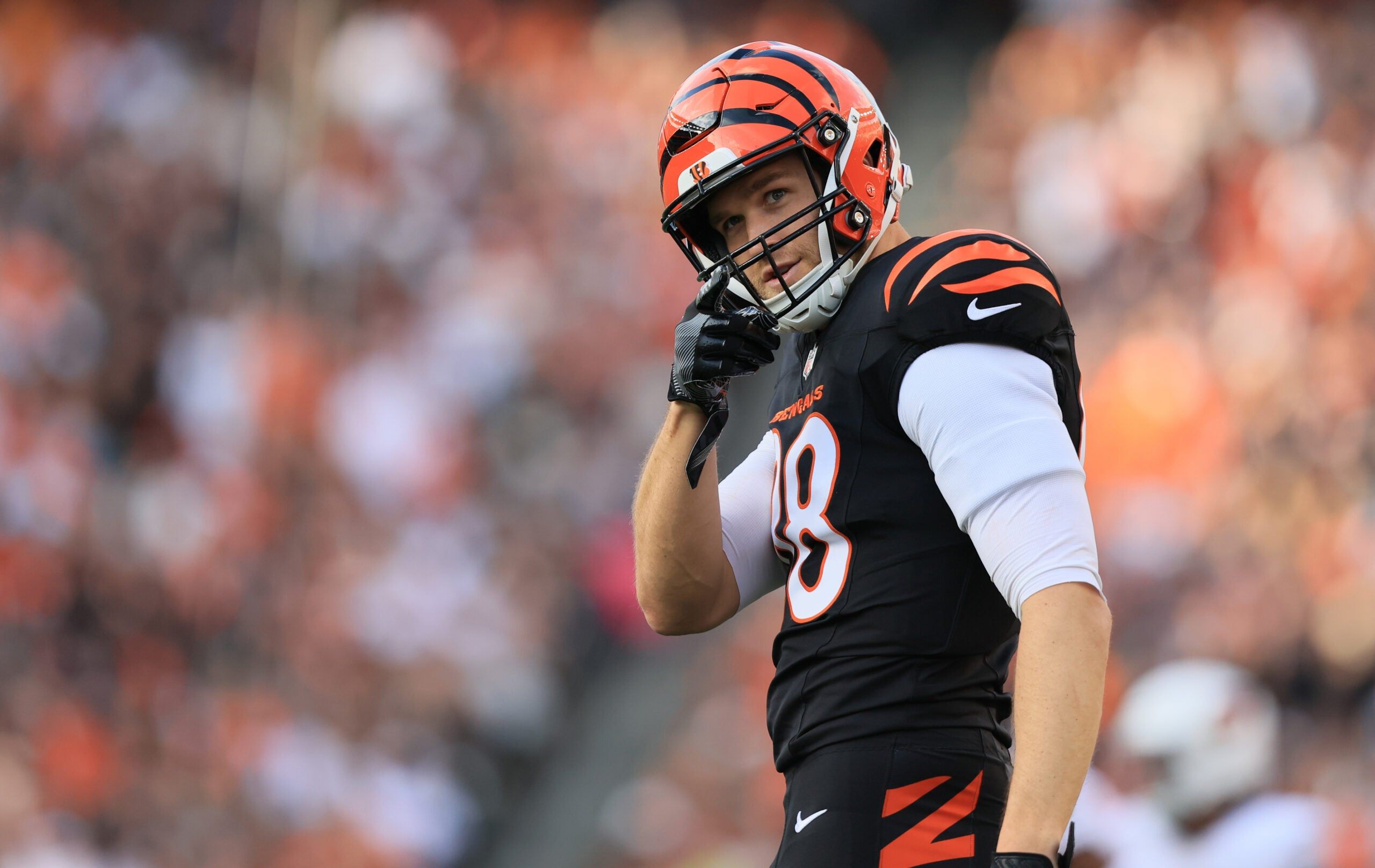 2560x1616 Bengals Player Profile: Mike Gesicki is the tight end Cincinnati boasts with pride