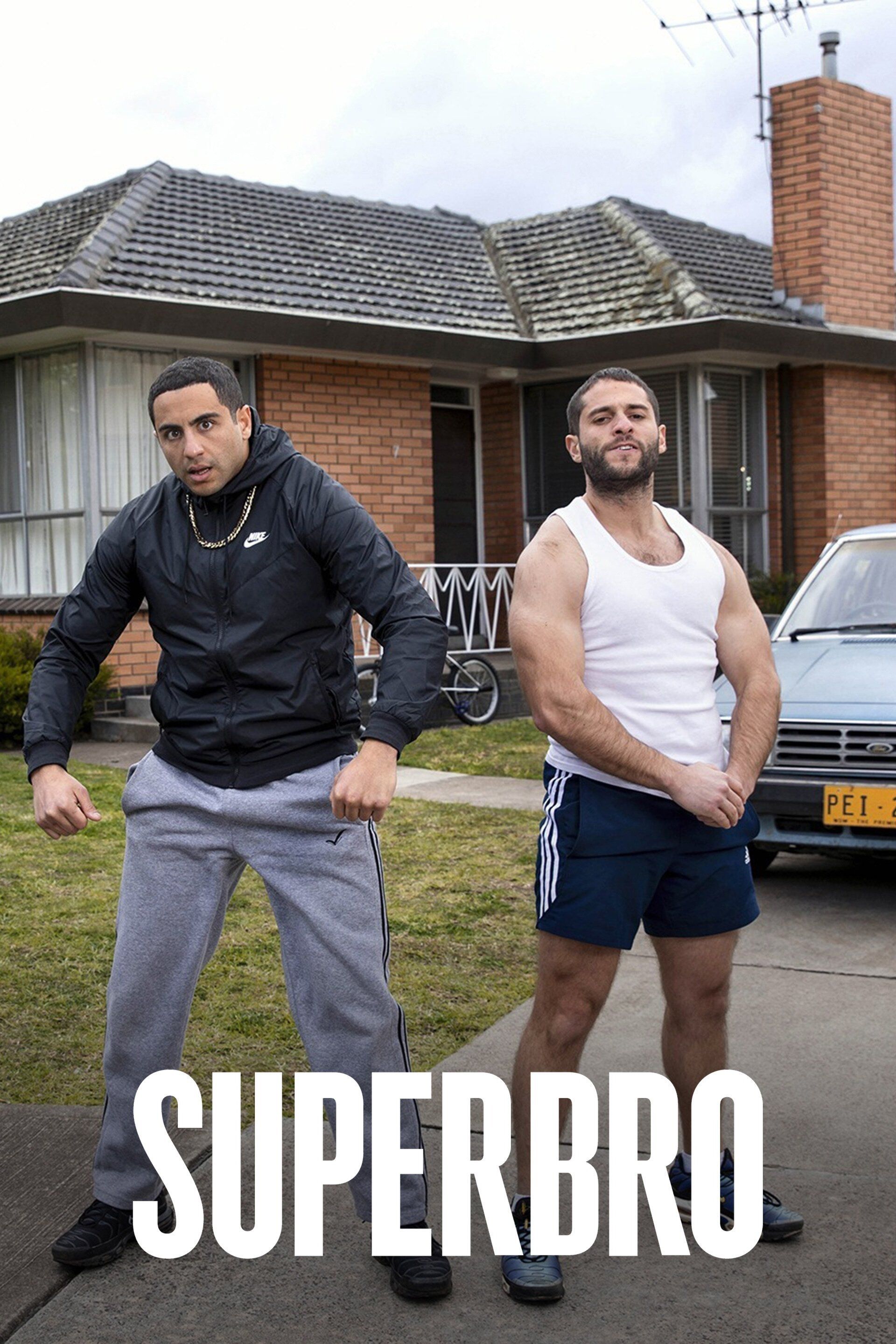 1920x2880 Superwog (2017)