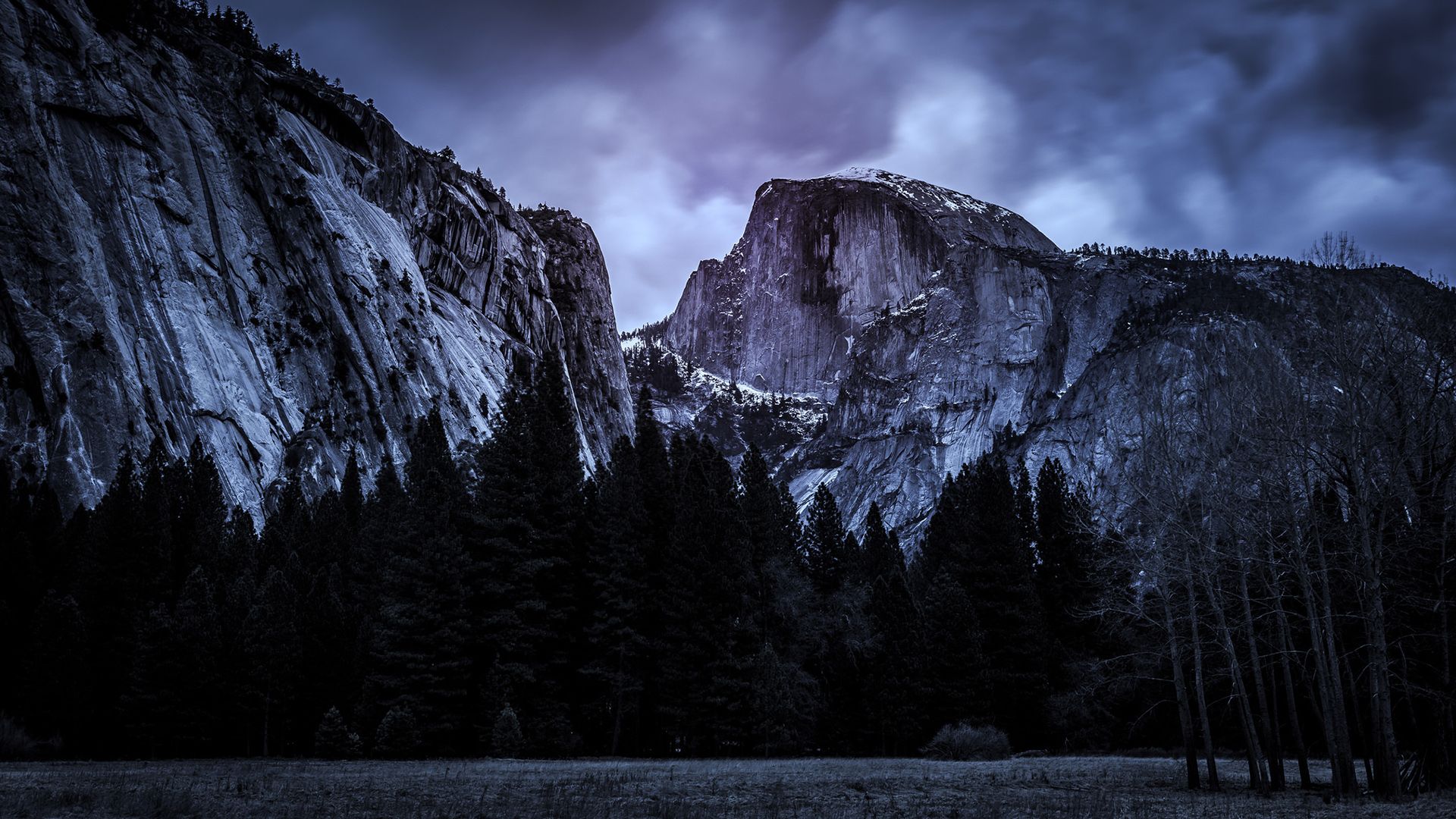 1920x1080 Download Forest Night Cliff Nature Yosemite National Park HD Wallpaper