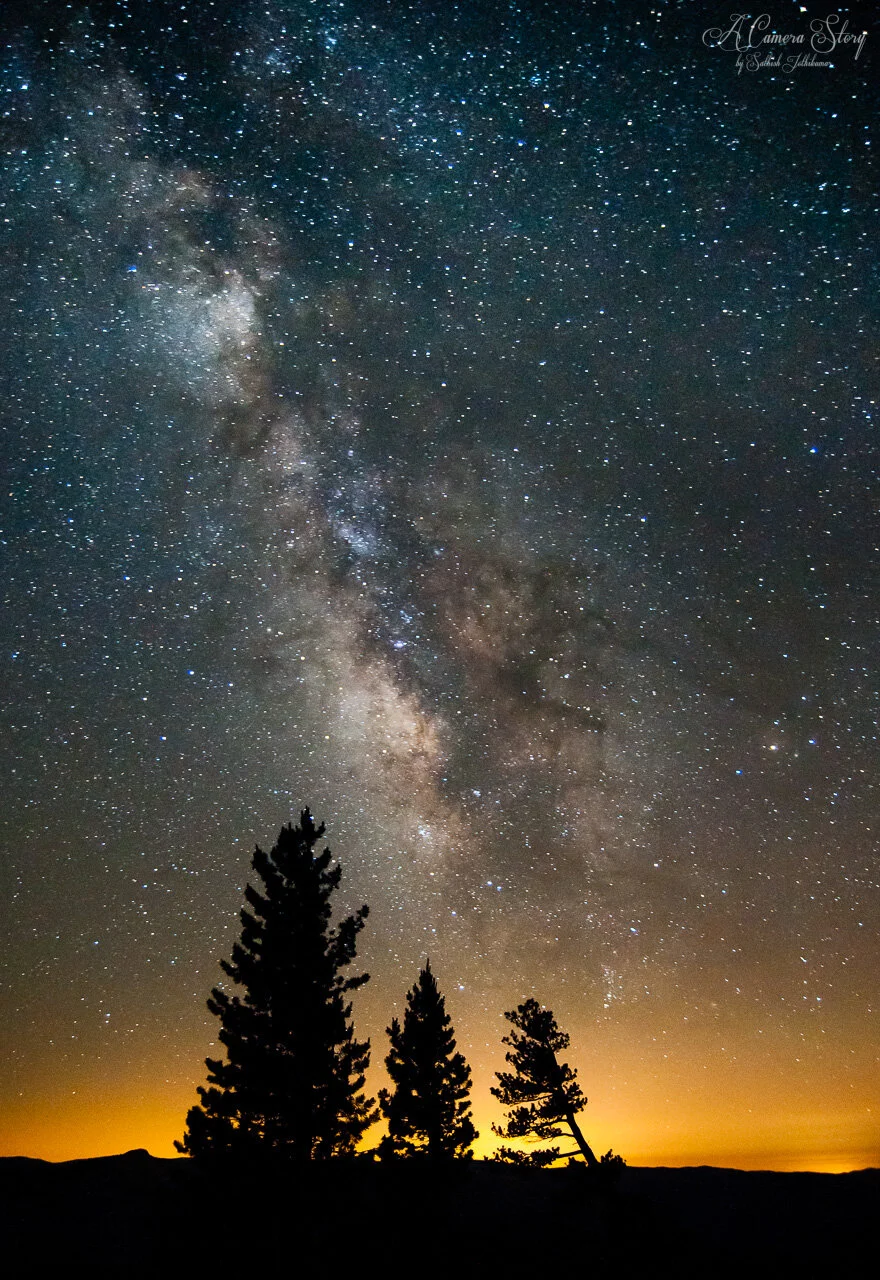 880x1280 A National Park Journey National Park