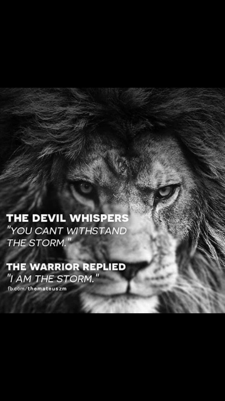 720x1280 Lion Motivation Wallpaper