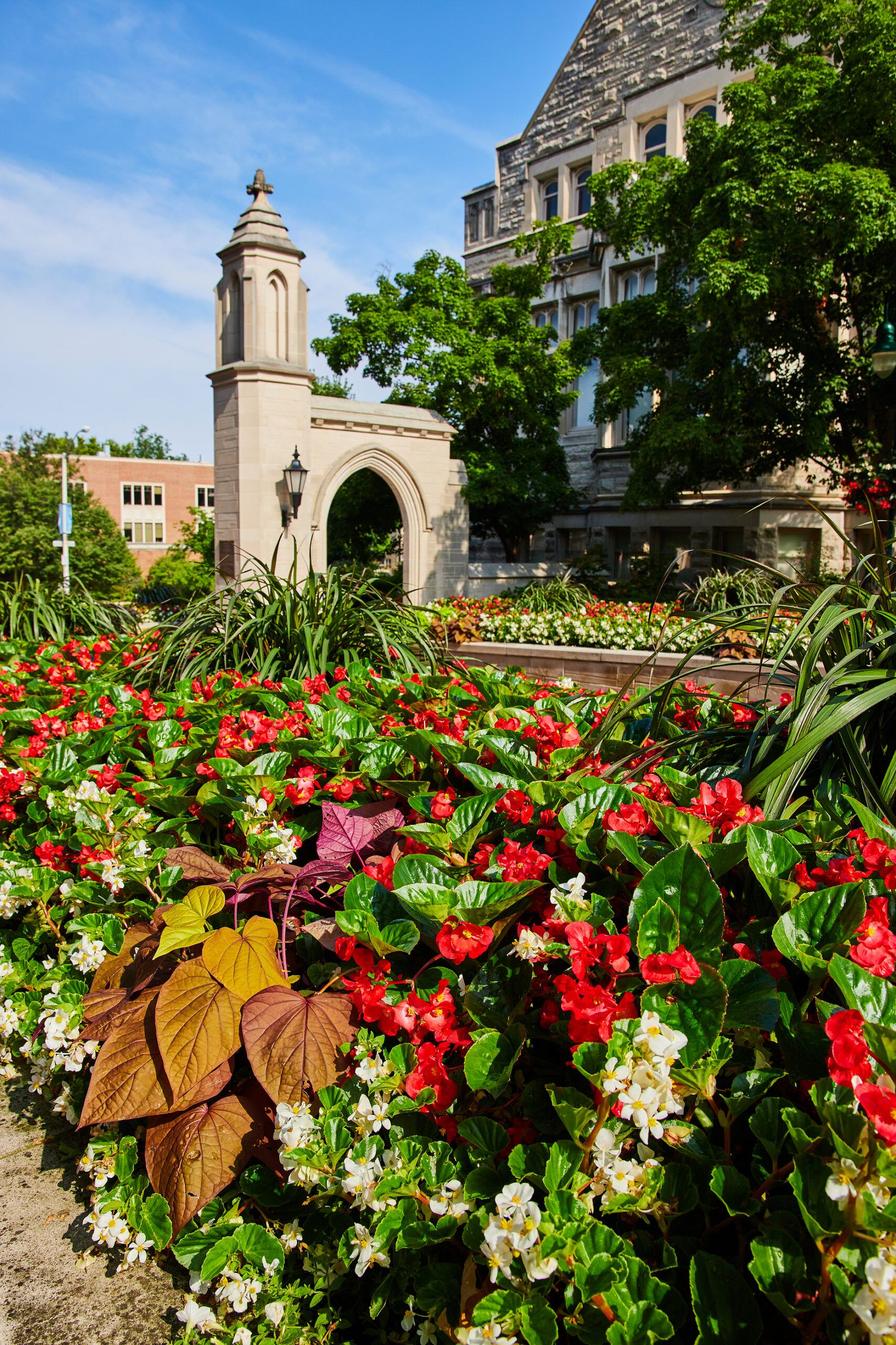 1707x2560 Indiana University Bloomington Online Master Of Business Administration Graduate Programs