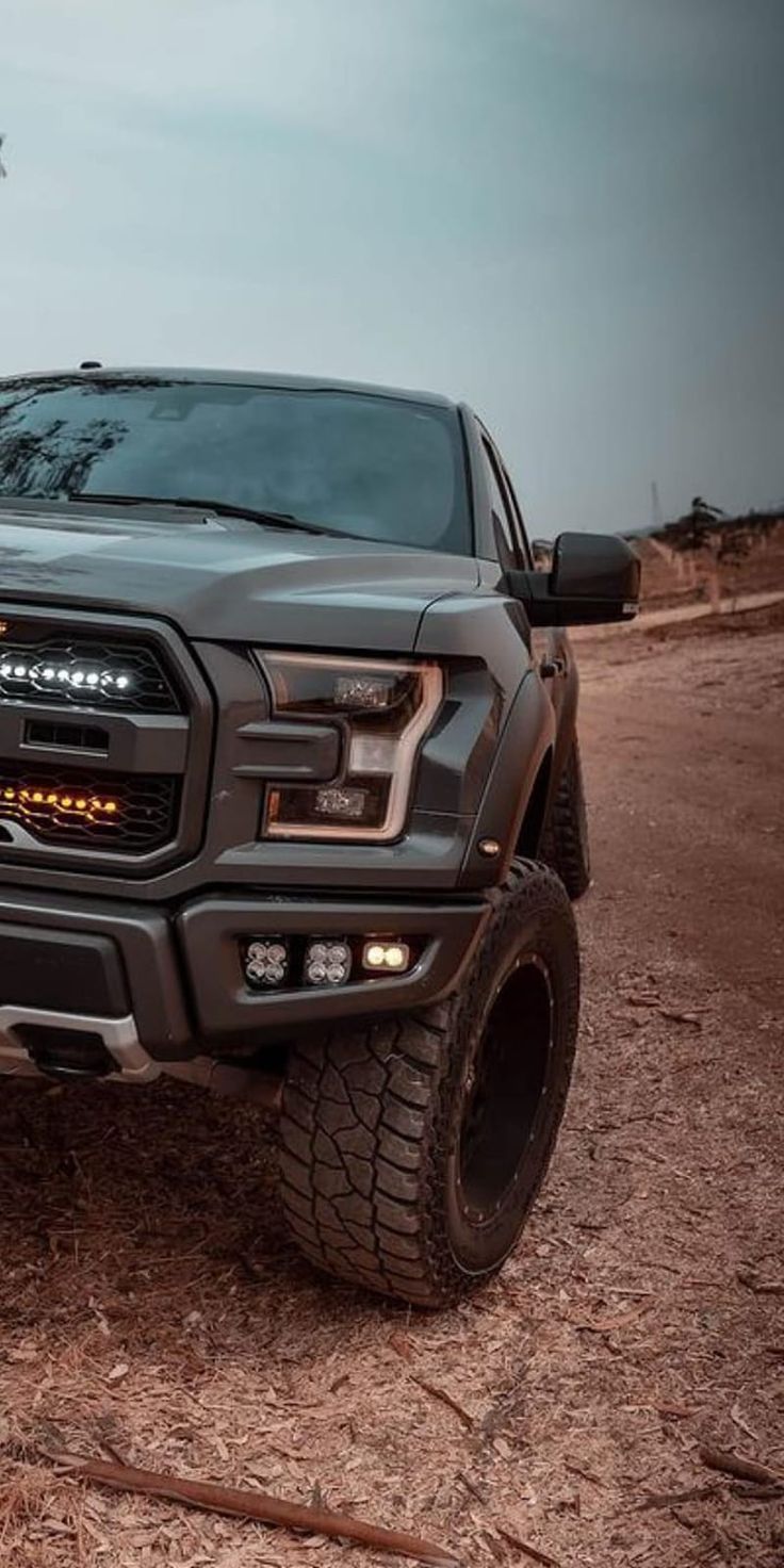 736x1472 Ford Raptor, 4x camioneta, HD phone wallpaper
