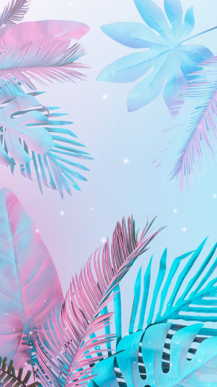 736x1309 Tropical Pink Blue Background
