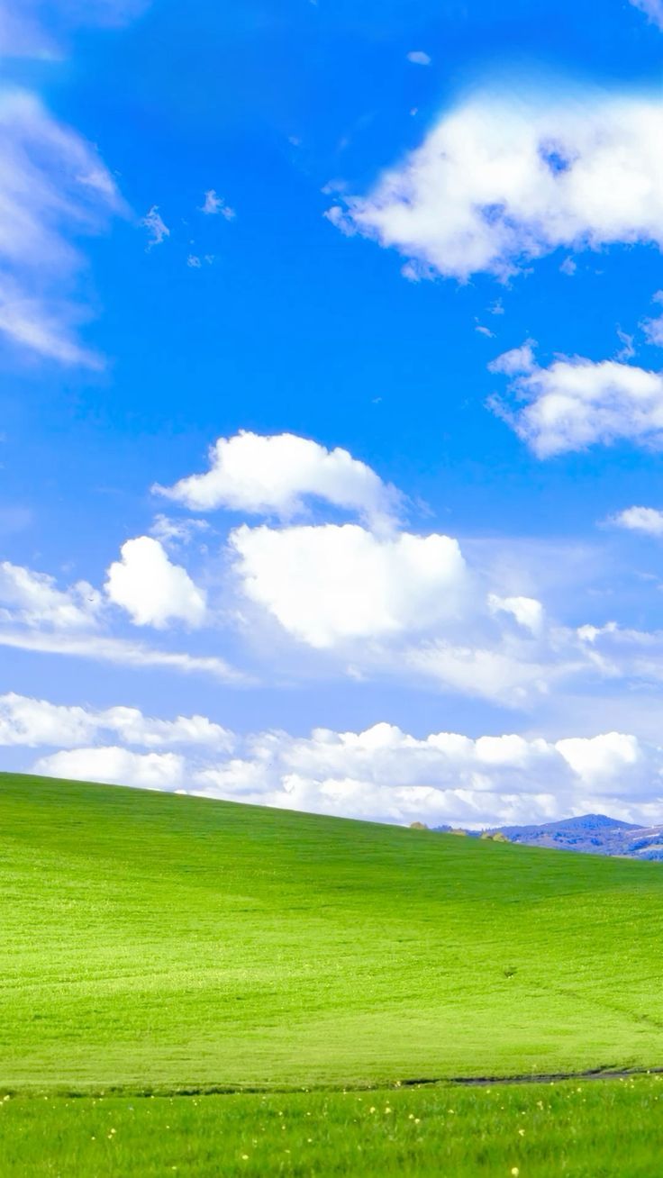 736x1308 Windows XP Phone Wallpaper Idea
