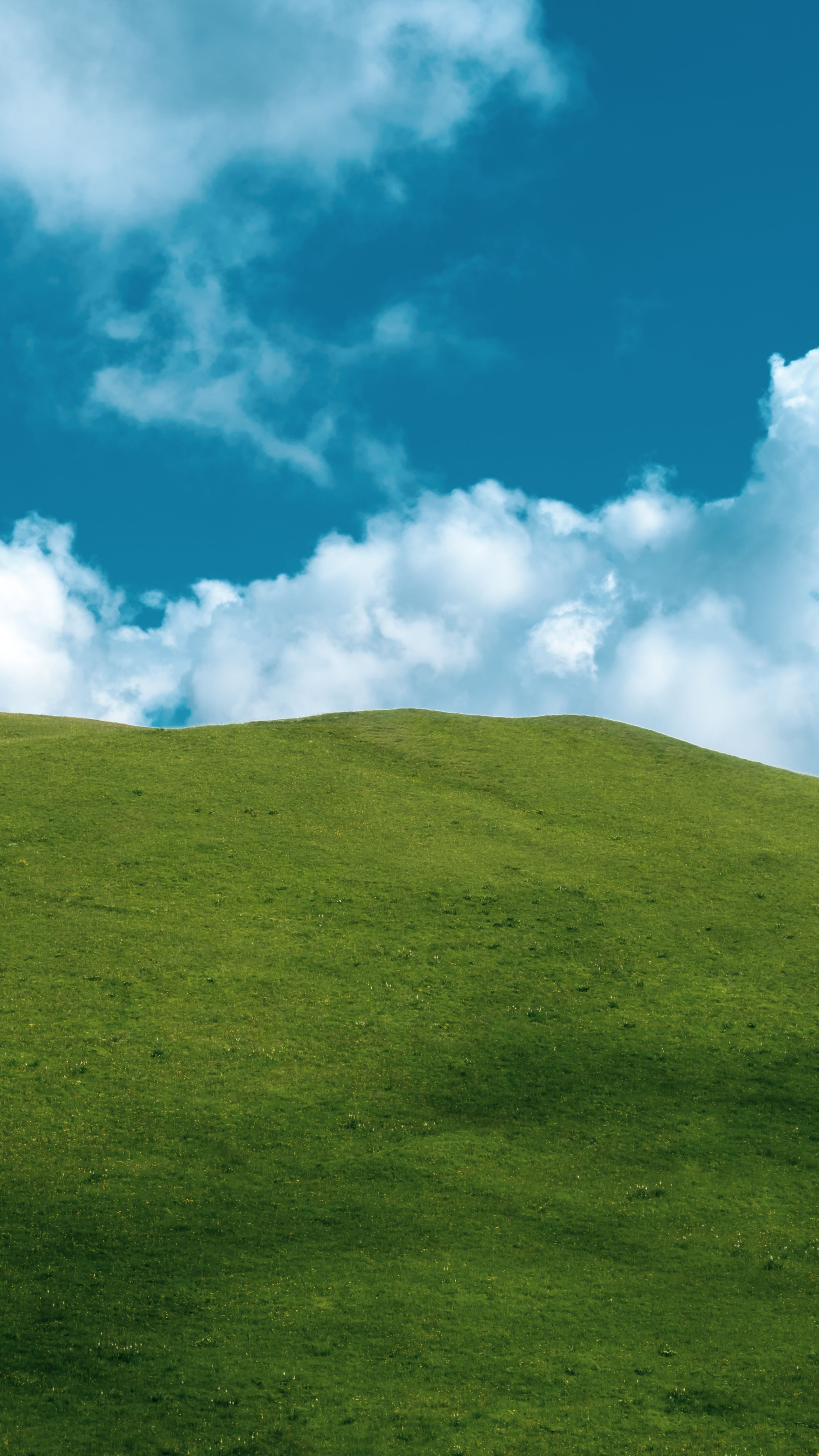 2621x4659 Windows XP in real life