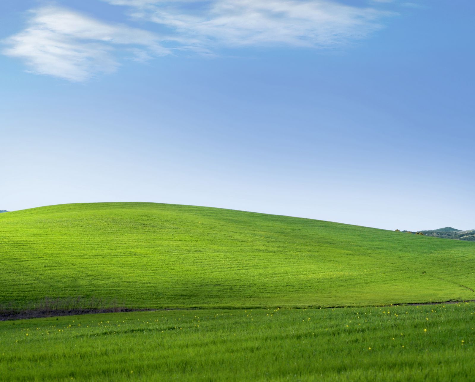 1600x1286 Windows xp Wallpaper Club