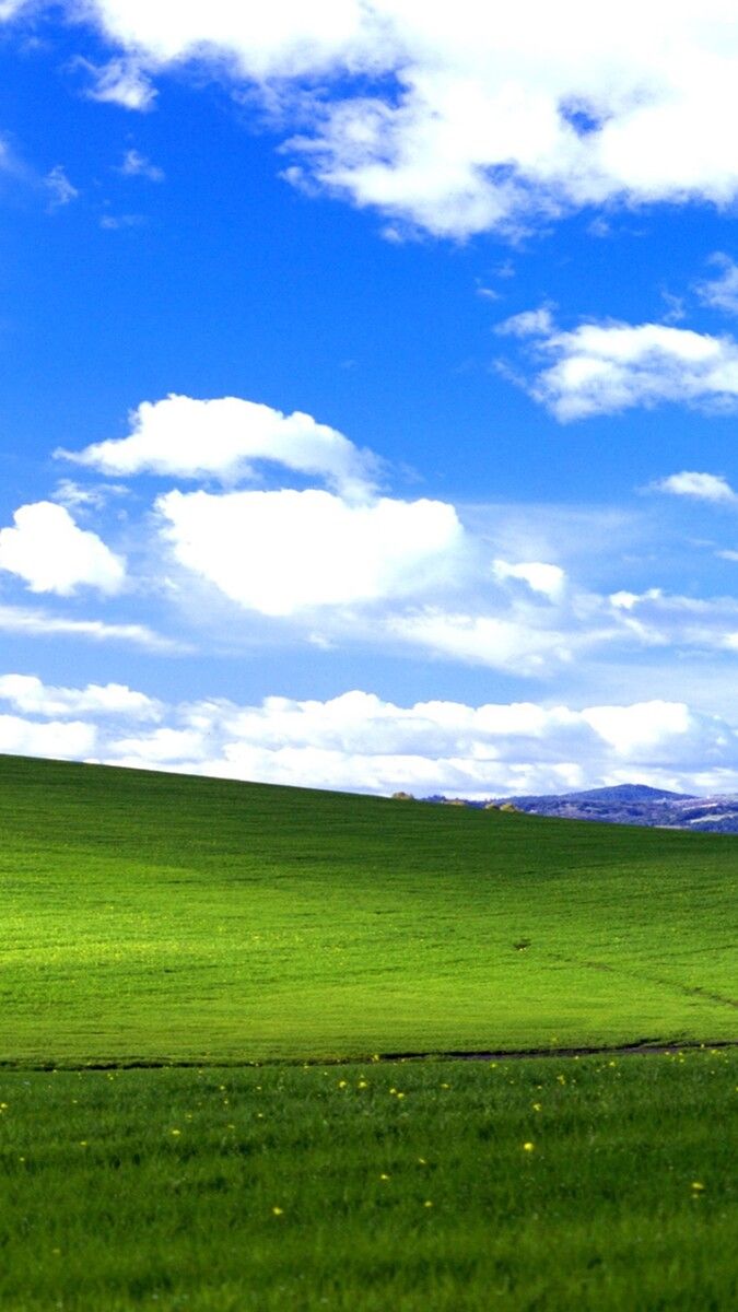 675x1200 Microsoft turns iconic Windows XP Bliss wallpaper into Ugly Sweater