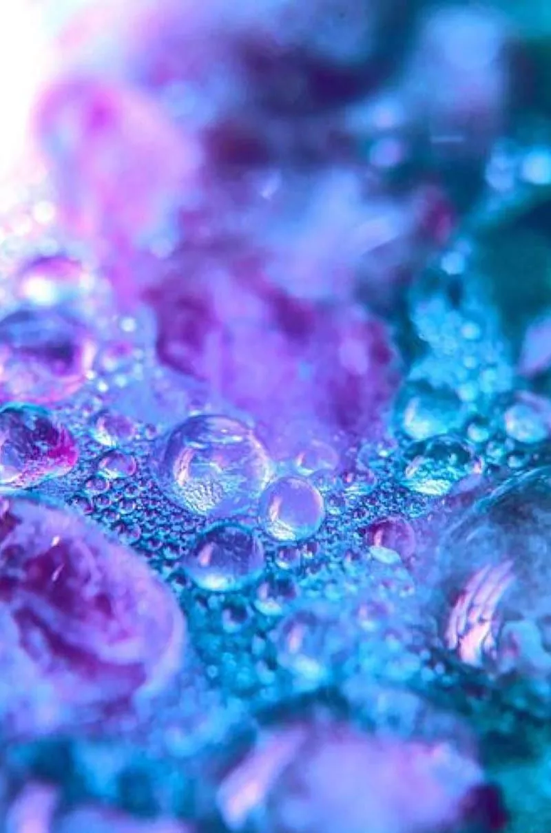 800x1210 Blurple Wallpaper