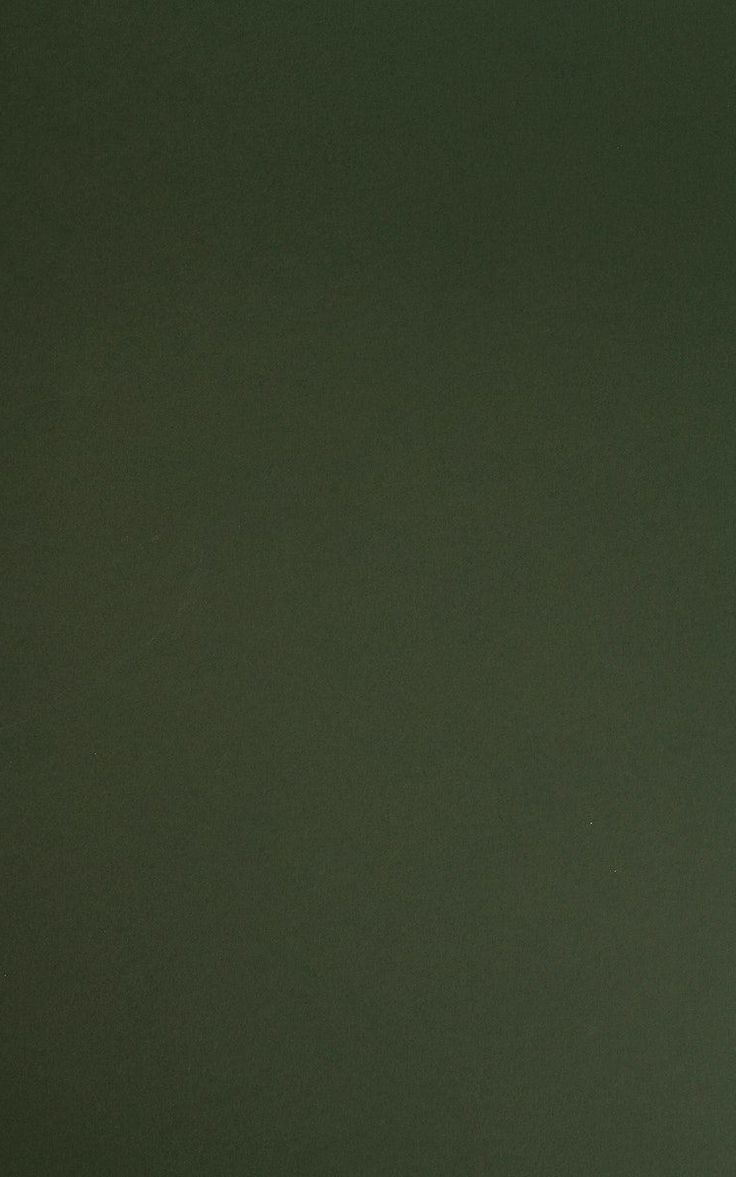 736x1177 Dark green background. Green background aesthetic, Green background for editing, Background colors
