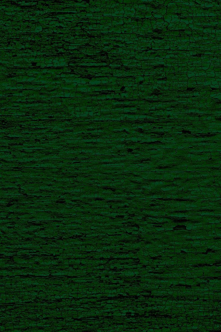 736x1104 Download free image of Simple dark green texture background by paeng about pine, distress texture, background, wooden texture, and green background 2452535