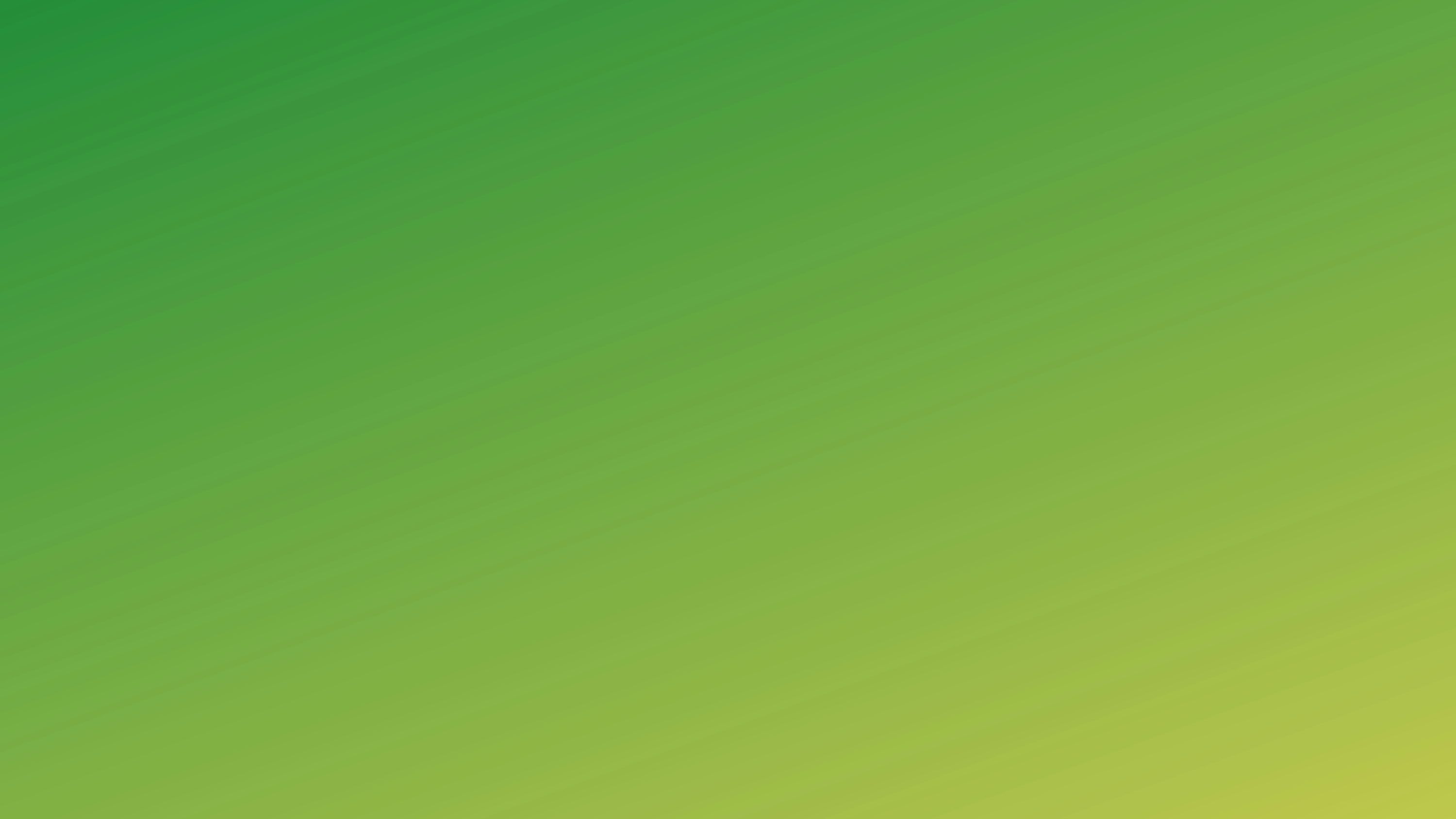 3000x1688 Green Wallpaper Picture Creators