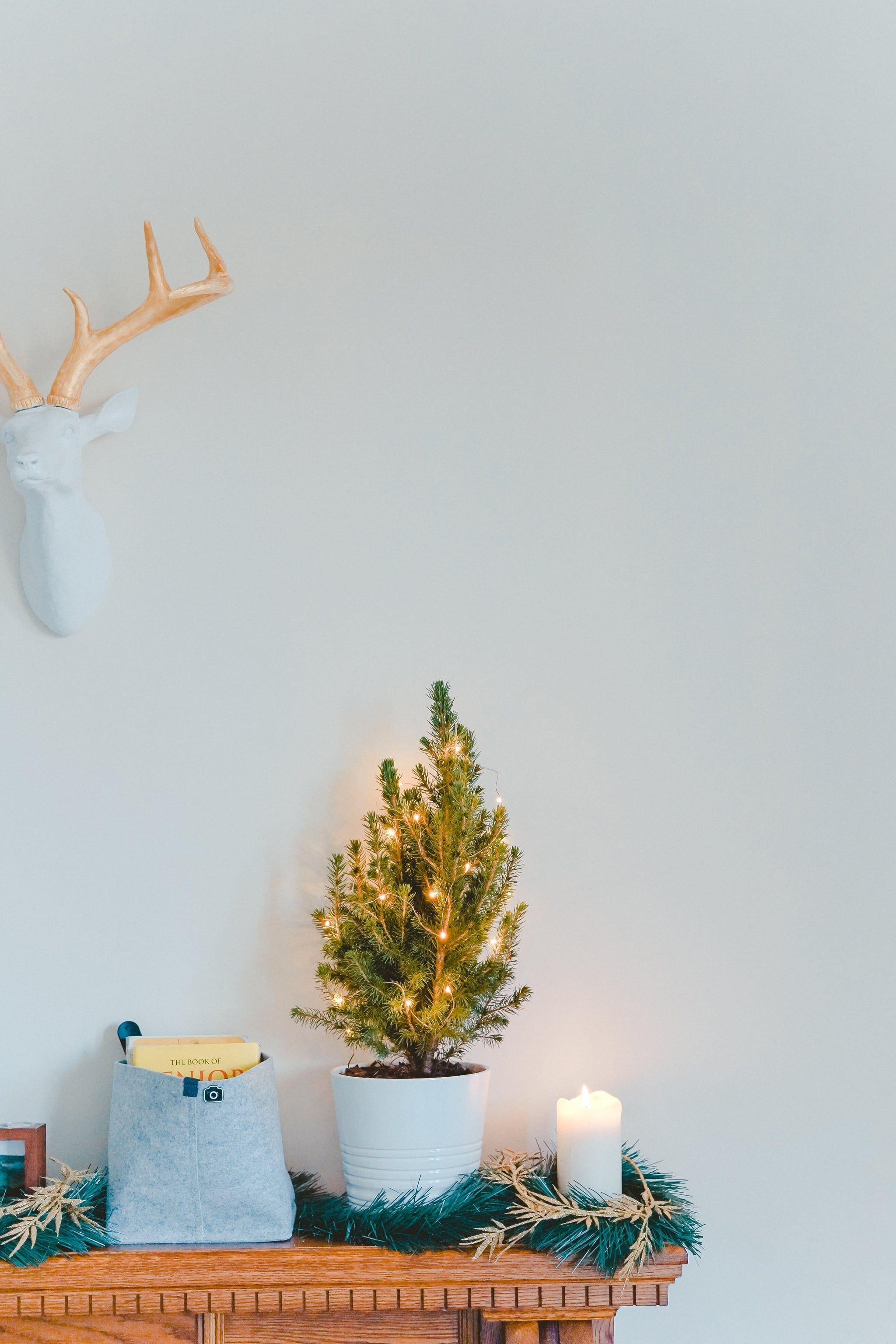 2048x3072 Small Christmas Tree iPhone Wallpaper Christmas Wallpaper That'll Make Your Home Screen Aesthetically Pleasing This Holiday. Tech Photo 13