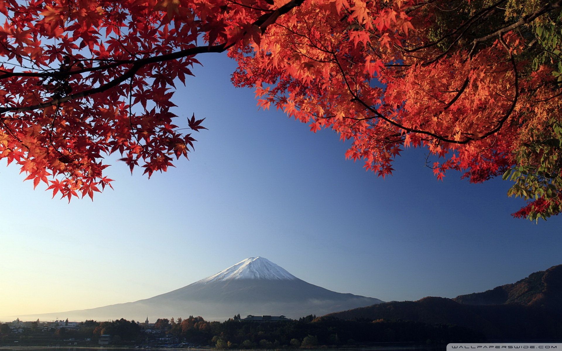 1920x1200 Autumn, Mount Fuji, Japan 4K UHD Wallpaper for UltraHD Desktop and TV : Smartphone and Tablet Devices