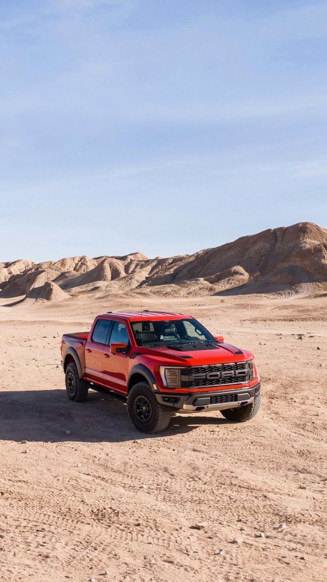 675x1200 Raptor