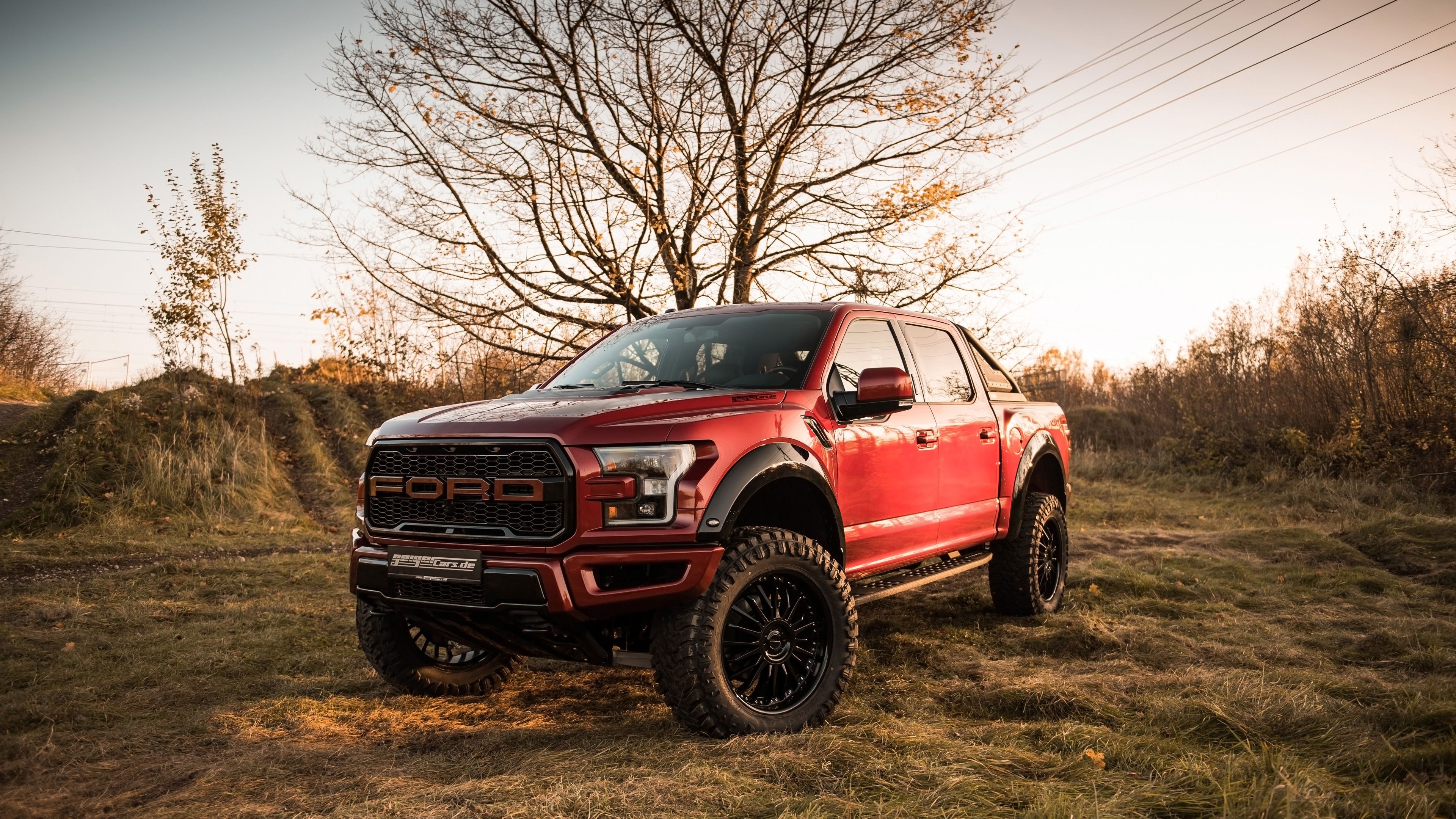 3840x2160 Ford F 150 Raptor Car On Grass Field With Background Of Tree And Sky 4K HD Ford Raptor Wallpaper