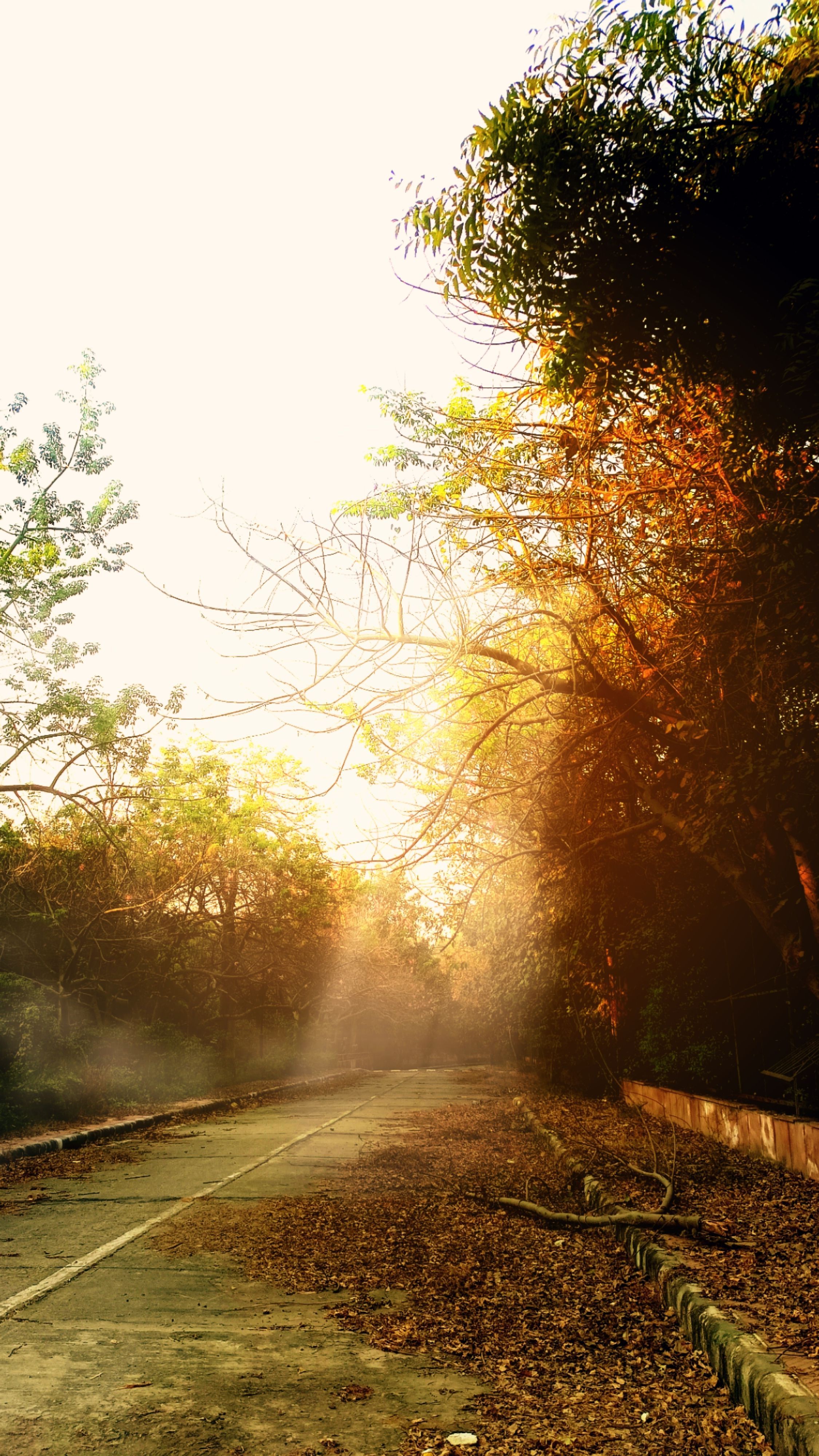2250x4000 Sunfall Photo, Download The BEST Free Sunfall & HD Image