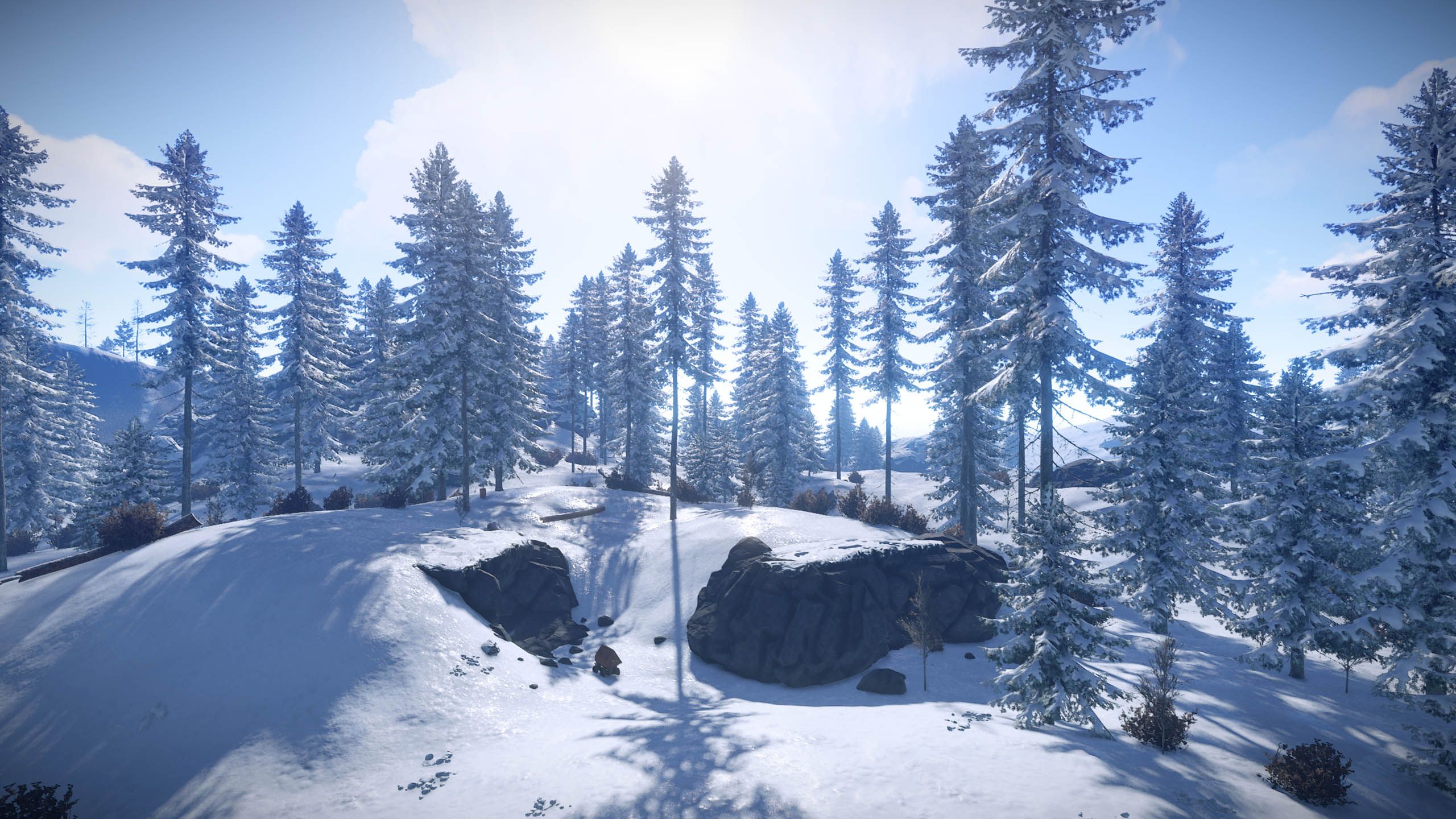 2560x1440 Devblog 196