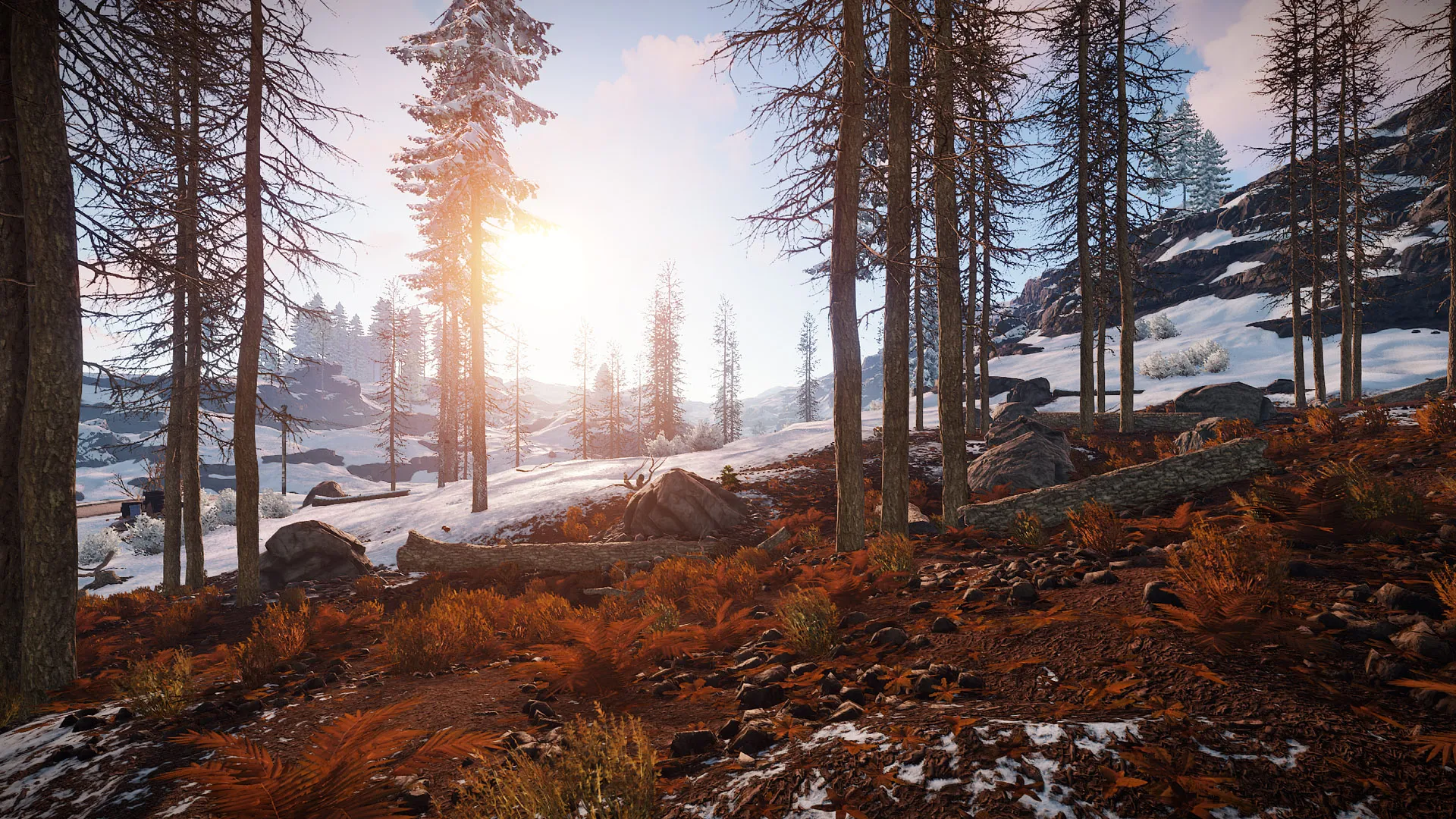 1920x1080 Rust Review: More Rough Than Diamond