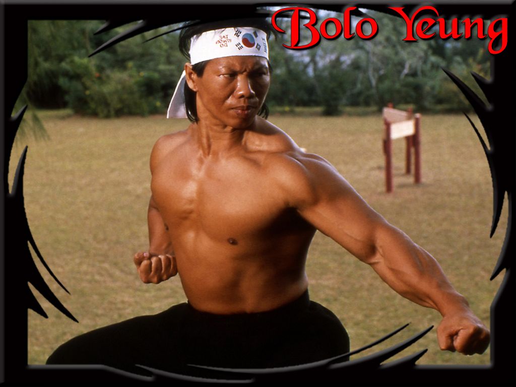 1024x768 Martial Arts Film Stars!