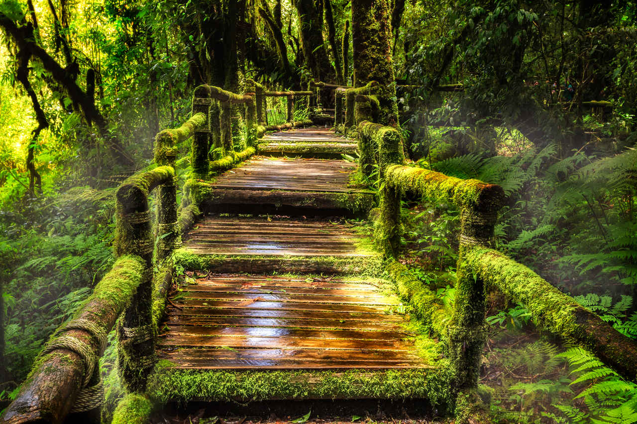 1280x853 Private tour to Doi Inthanon