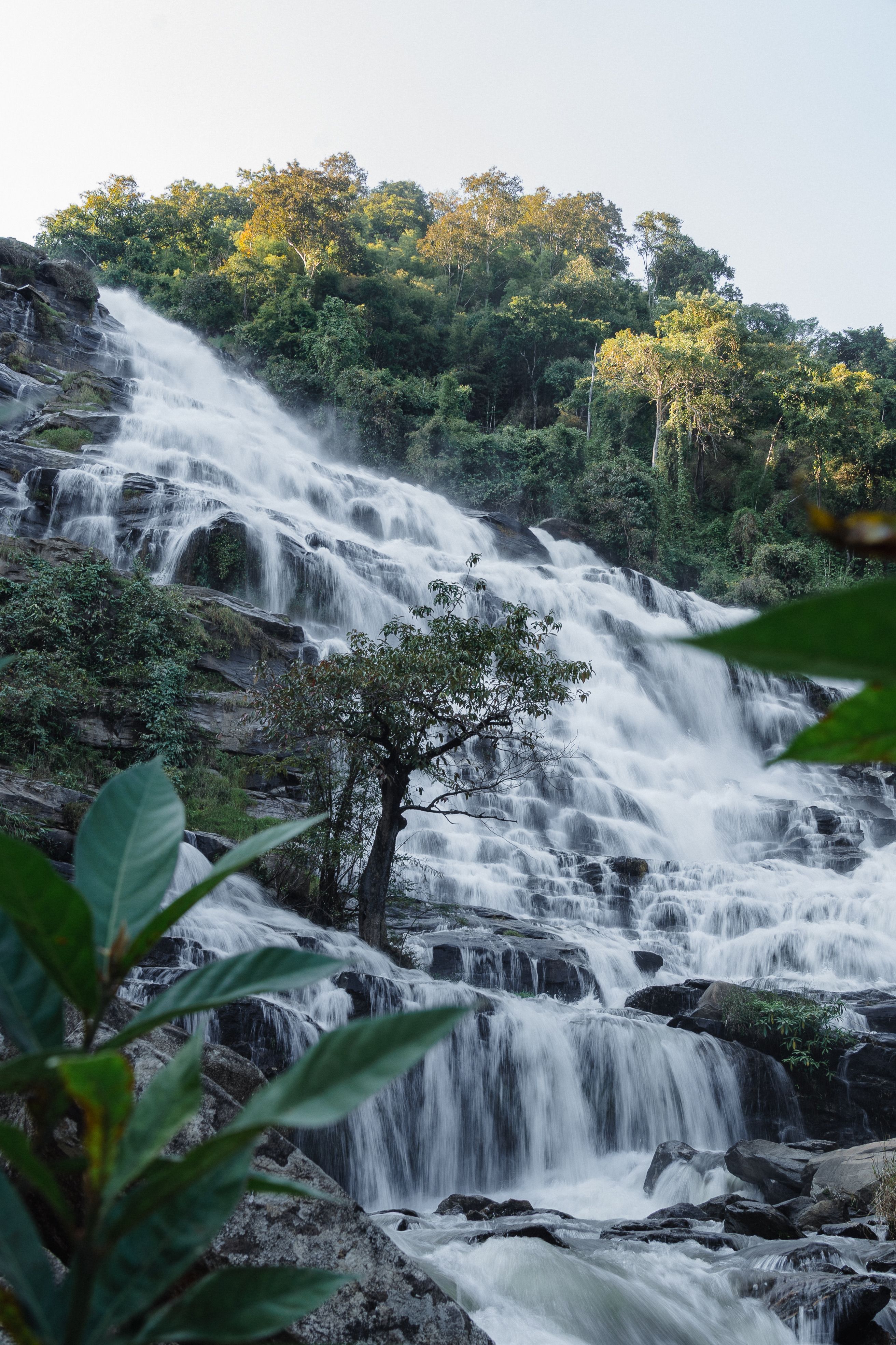 2624x3936 Doi Inthanon National Park Photo, Download The BEST Free Doi Inthanon National Park & HD Image