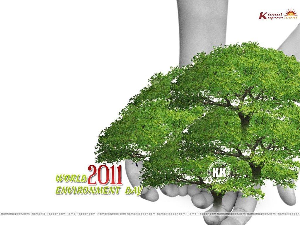 1024x768 Environment Day Wallpaper, Most Popular Environment Day. Desktop Background