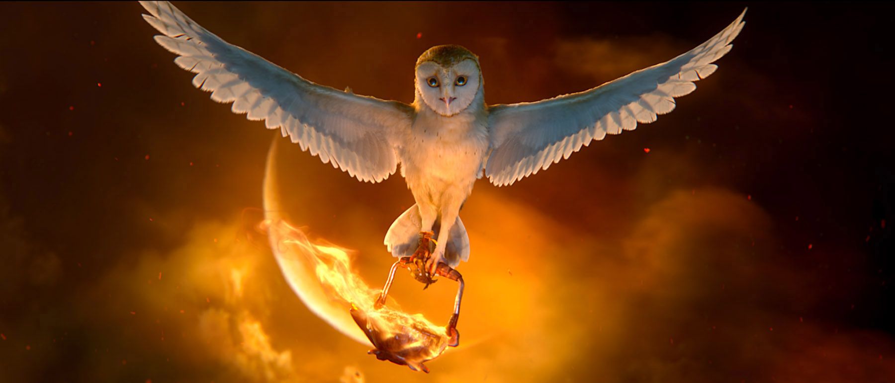 1800x771 Legend of the Guardians: The Owls of Ga'Hoole Review
