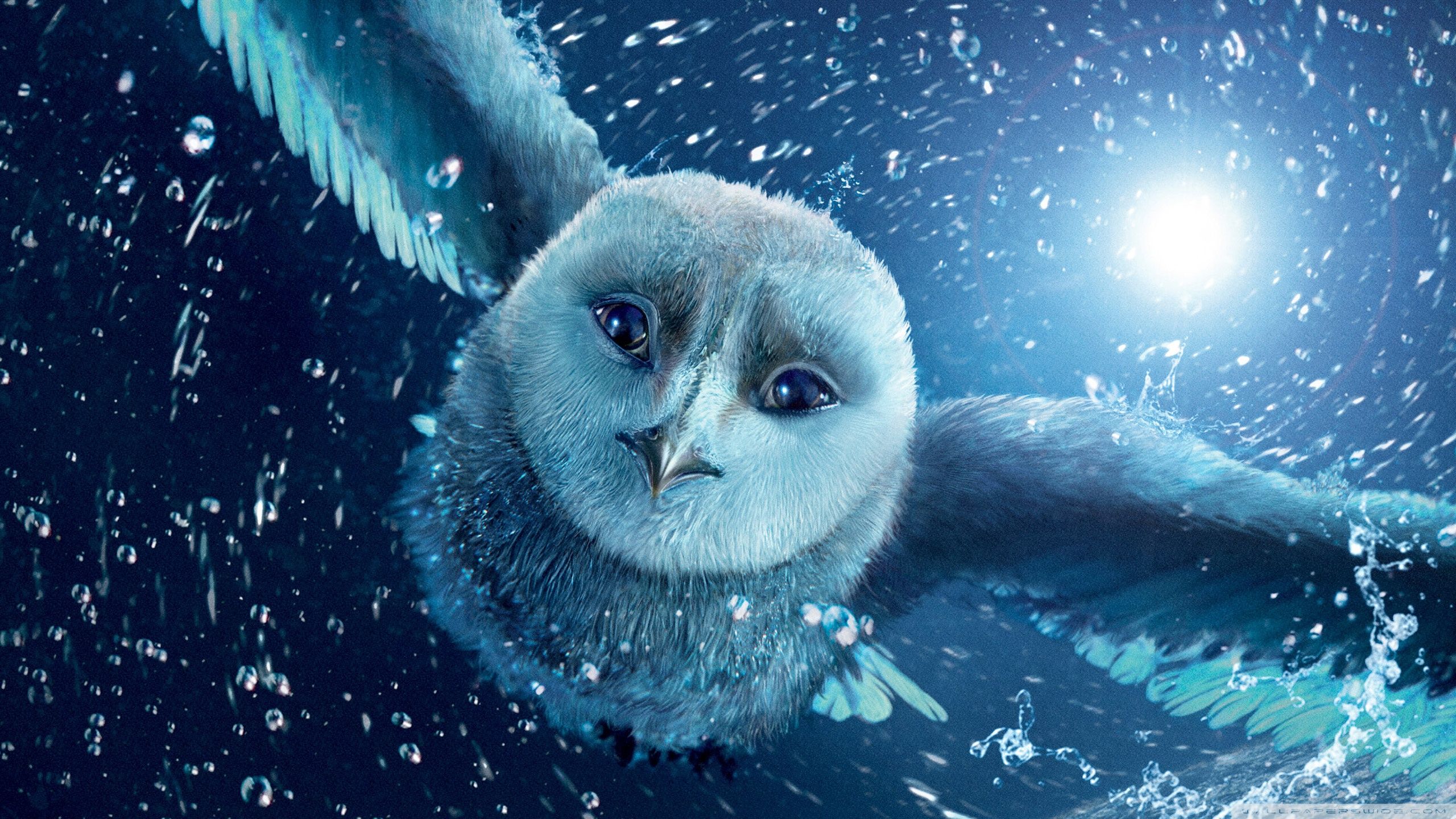 2560x1440 Legend of the Guardians The Owls of Ga Hoole 4K UHD Wallpaper for UltraHD Desktop and TV : Widescreen and UltraWide Display : Smartphone and Tablet Devices