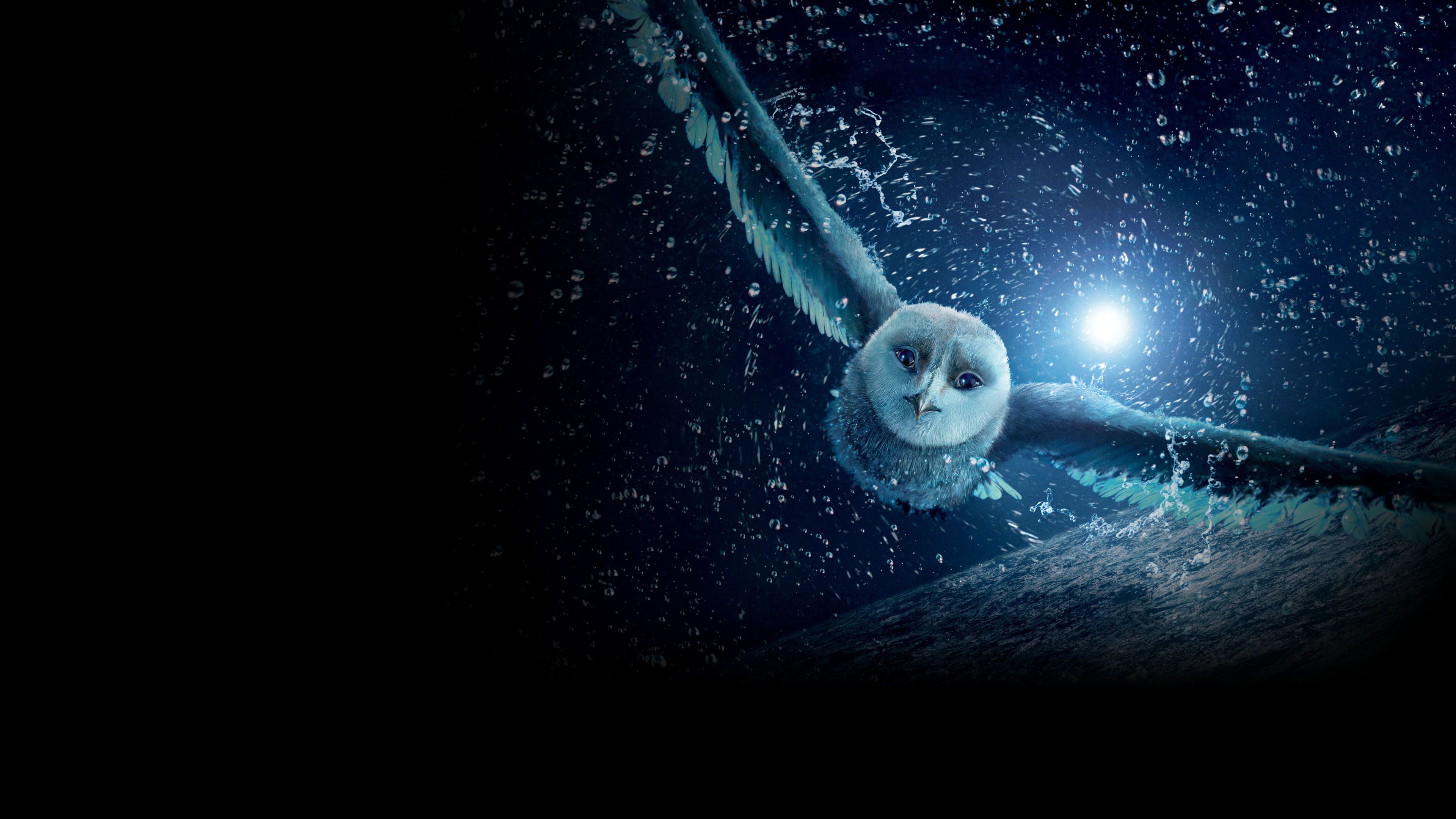 3840x2160 Watch Legend of the Guardians: The Owls of Ga'Hoole
