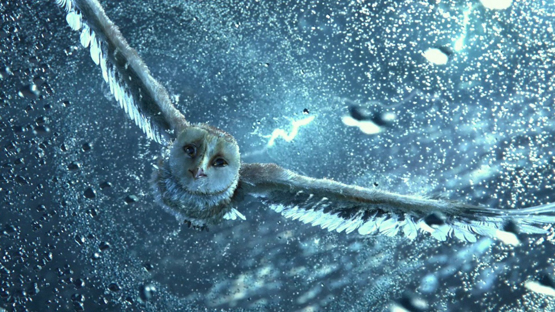 1920x1080 legends, Guardians, Owls, Gahoole, Animation, Fantasy, Adventure, Family, Cartoon, Hoole, Owl Wallpaper HD / Desktop and Mobile Background