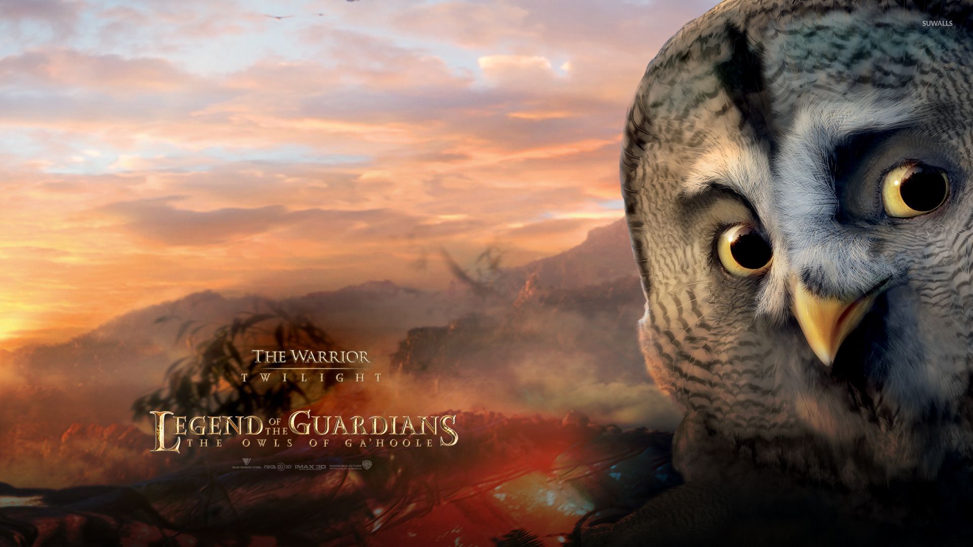 1920x1080 Twilight Owls of Ga'Hoole wallpaper wallpaper