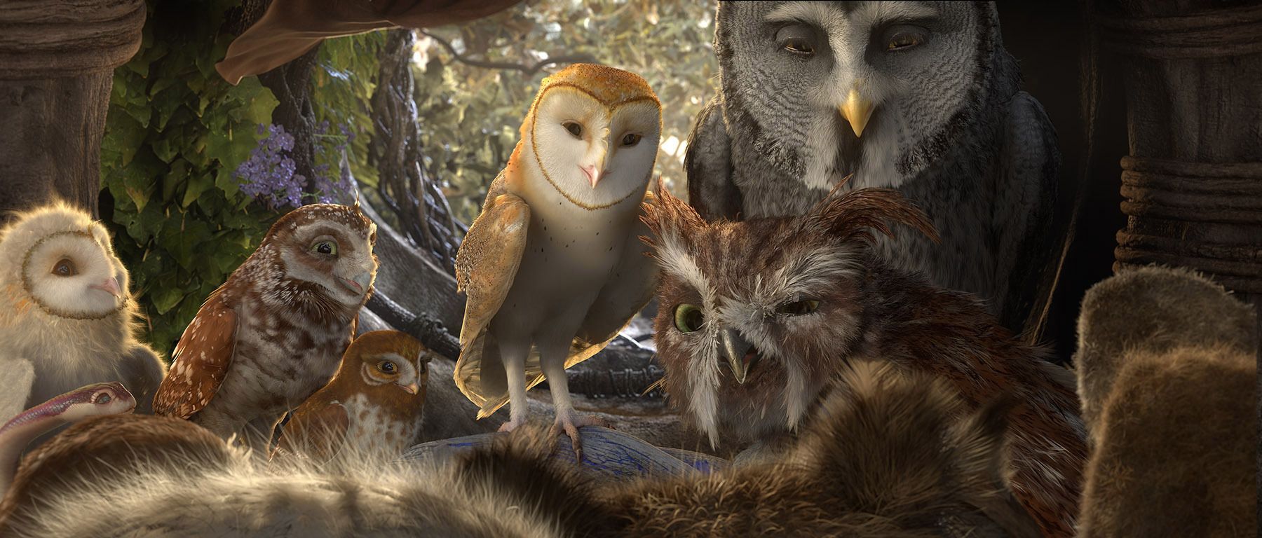 1800x768 Legend of the Guardians: The Owls of Ga'Hoole (2010)