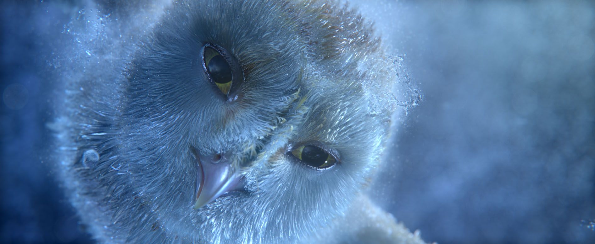 1892x778 Legend Of The Guardians: The Owls of Ga'hoole