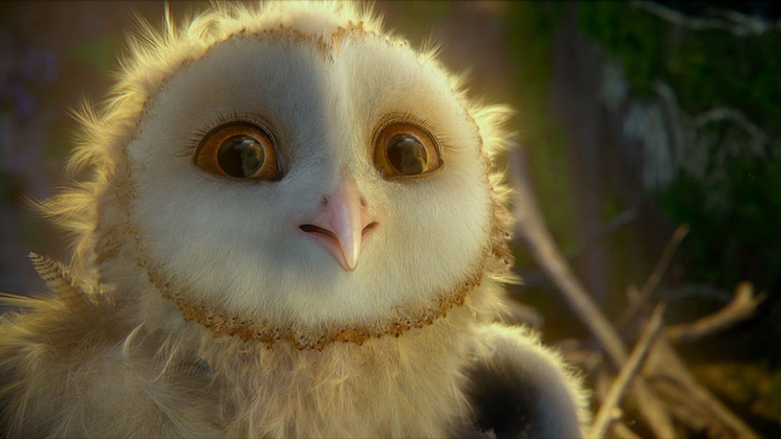 1600x900 Legend of the Guardians: The Owls of Ga'Hoole