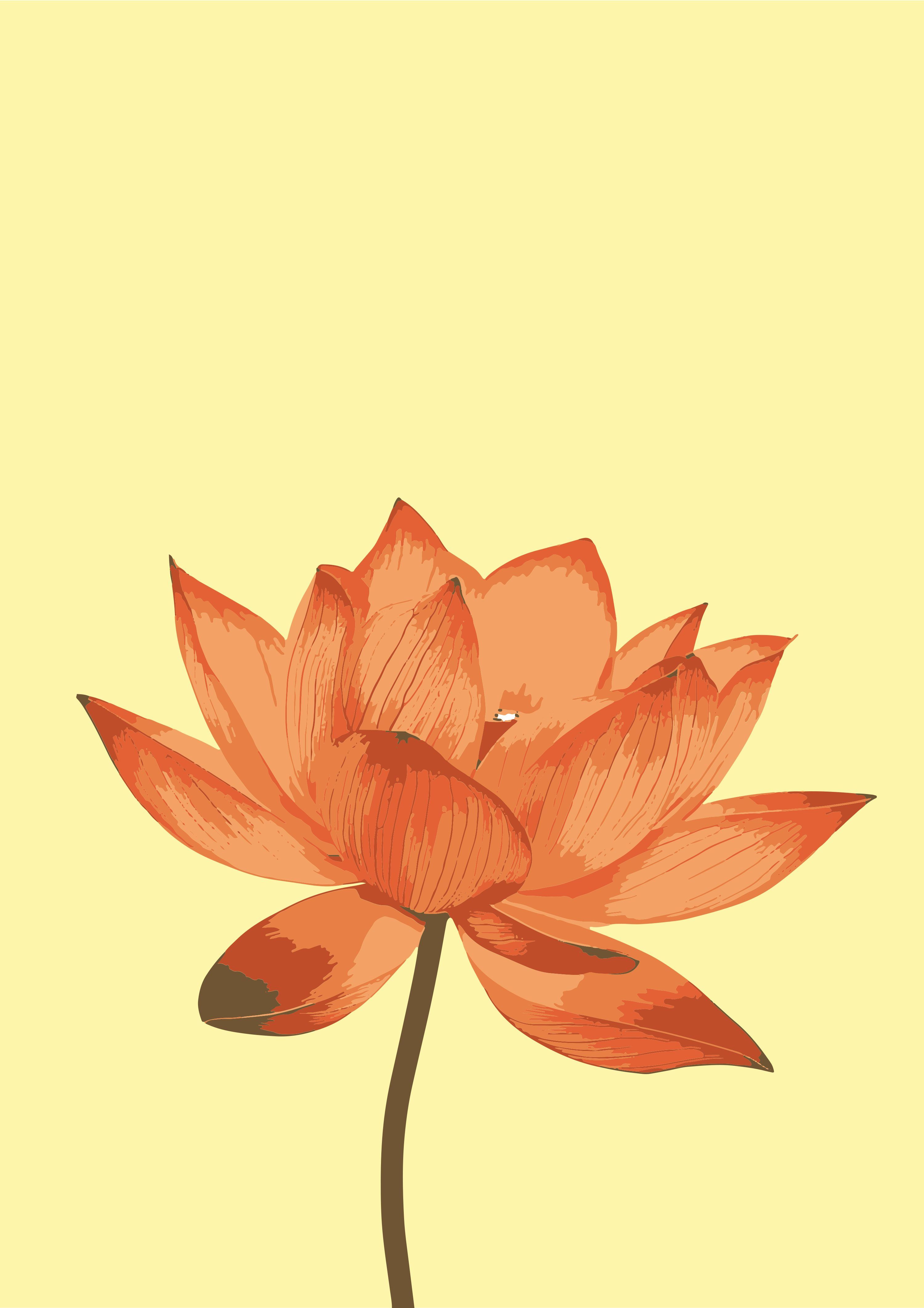 3000x4245 A single orange lotus flower on a yellow background Vector Illustration