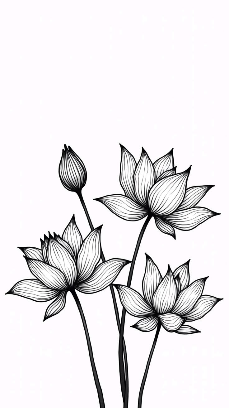 736x1308 Black and white wallpaper aesthetic iphone flower. Lotus flower art, Cute wallpaper for phone, Flower