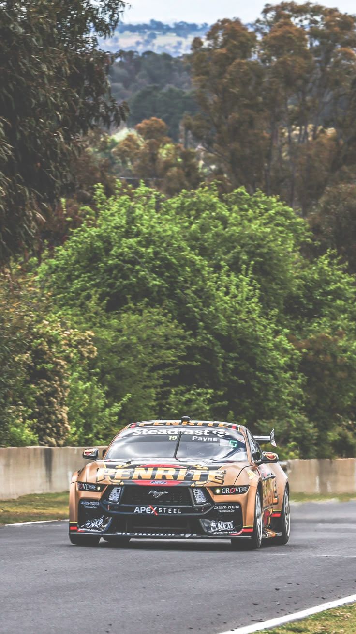 736x1308 Matthew Payne Penrite Bathurst 1000 2023