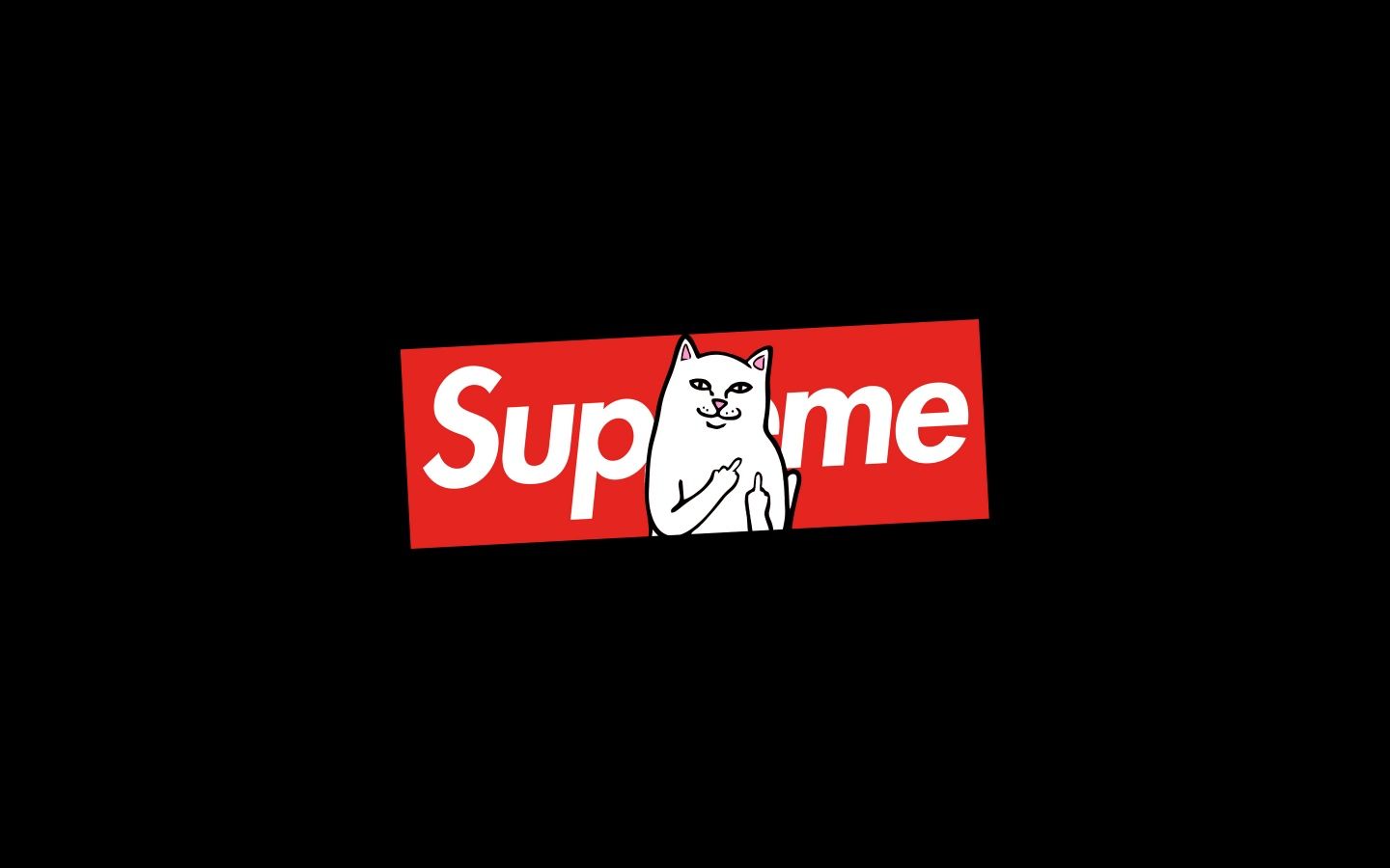 1440x900 Supreme Cat 4K UHD Wallpaper for UltraHD Desktop and TV : Dual Monitor : Smartphone and Tablet Devices