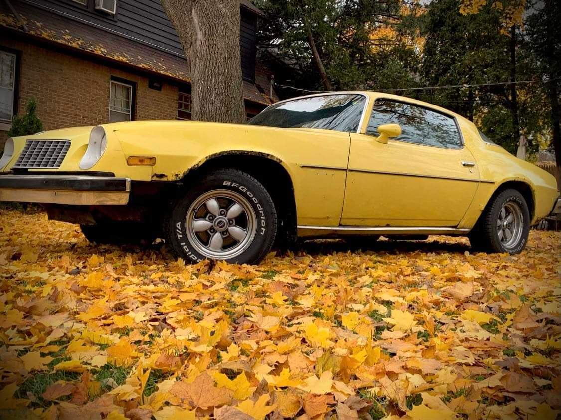 1125x844 Camaro not bad for 1000$ right?