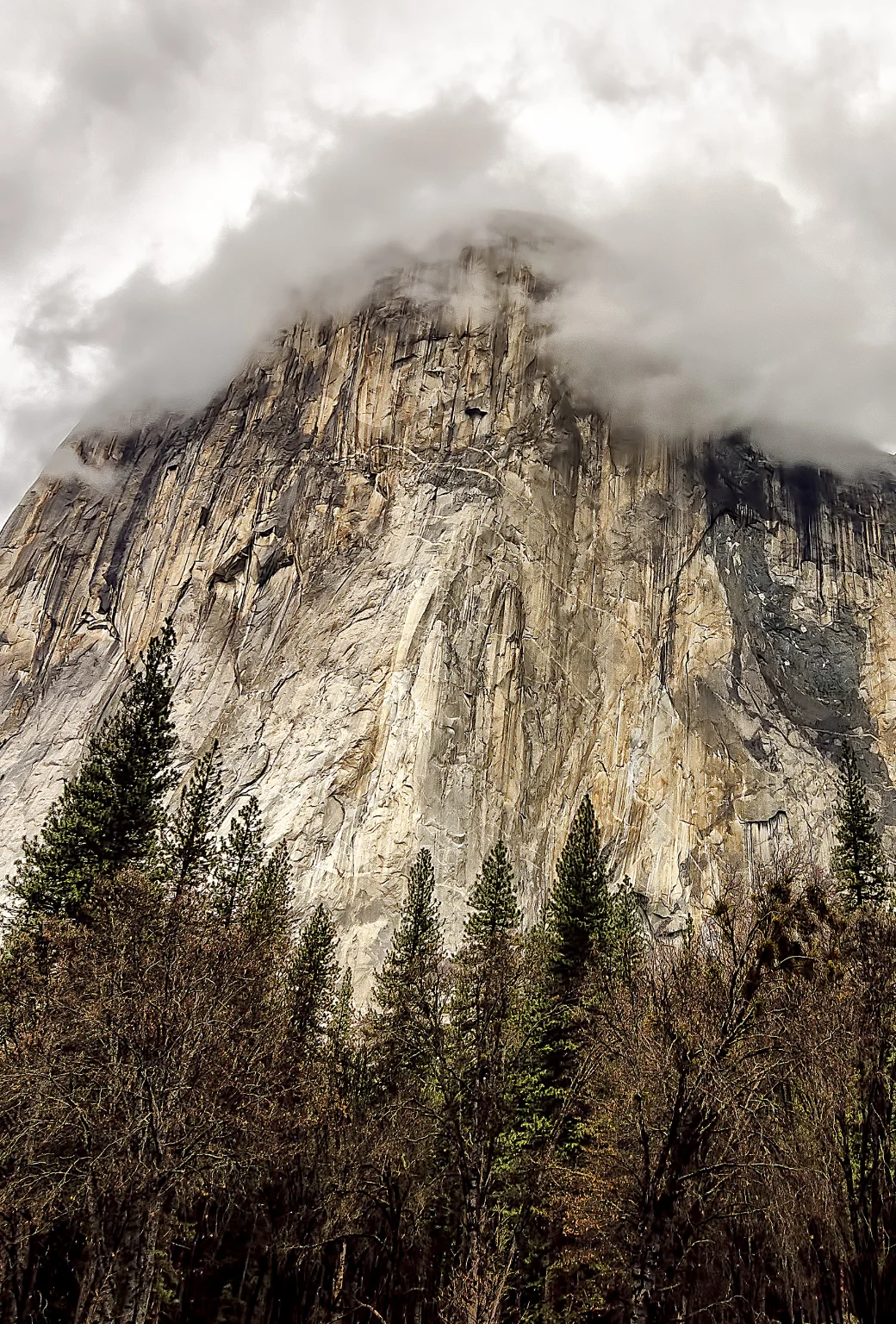 1040x1536 Thank Apple's OS X Yosemite Announcement For This Collection Of Desktop & iPhone WallPapers