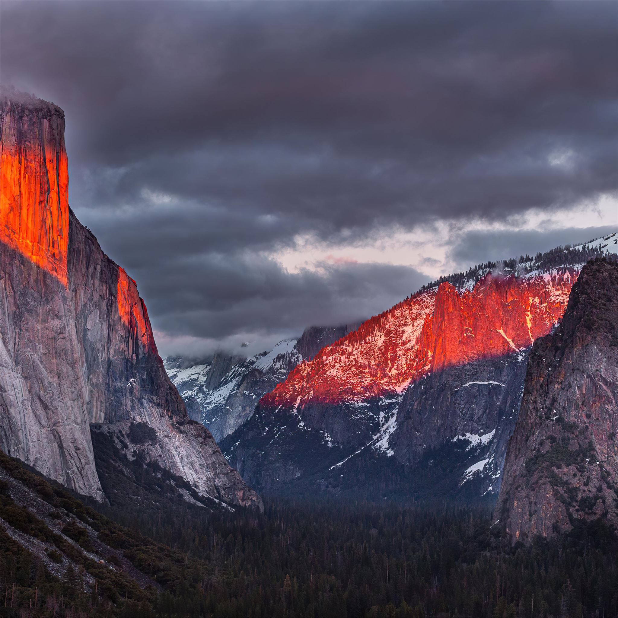 2048x2048 tunnel view yosemite 5k iPad Air Wallpaper Free Download
