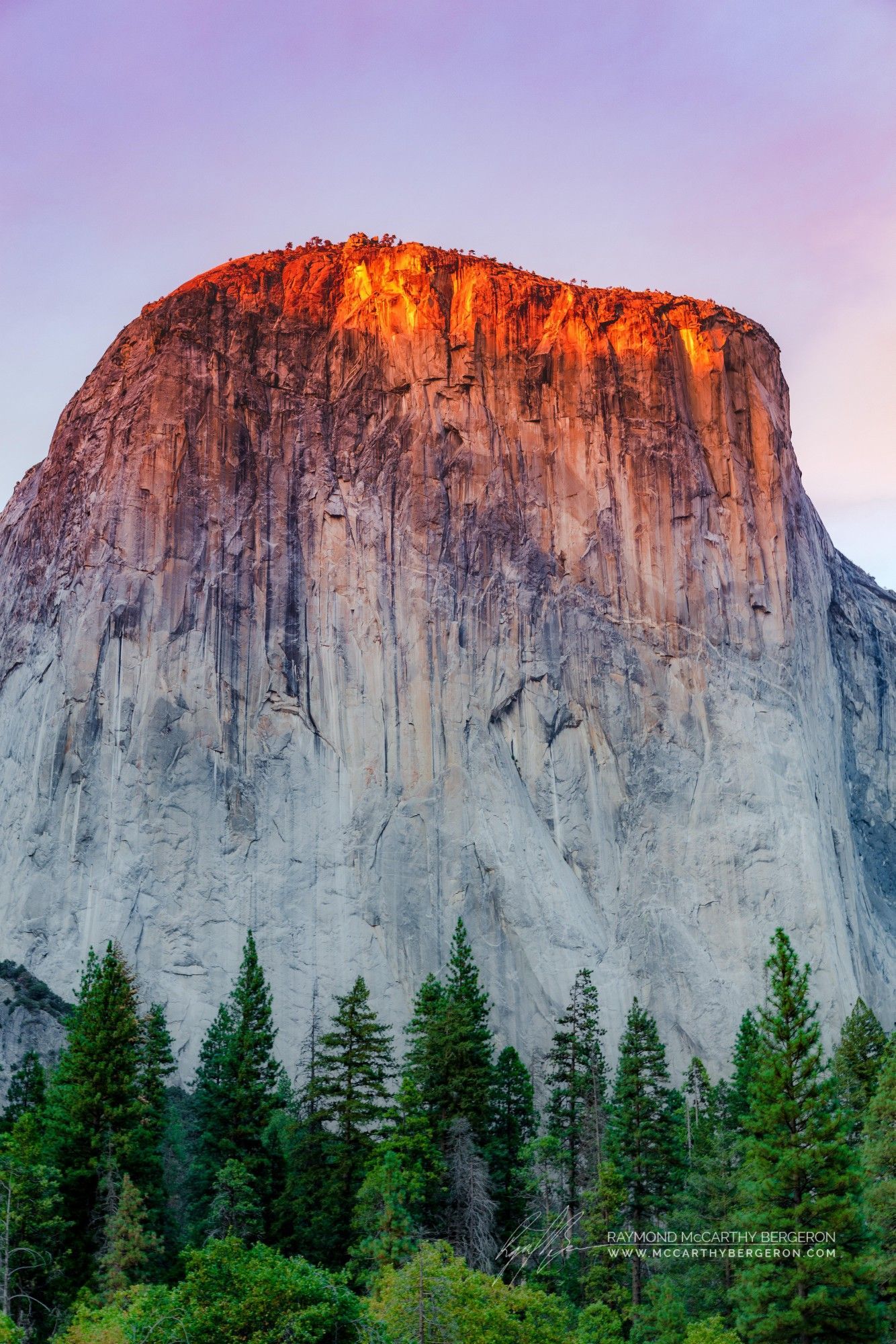 1334x2000 Yosemite National Park El Capitan Wallpaper