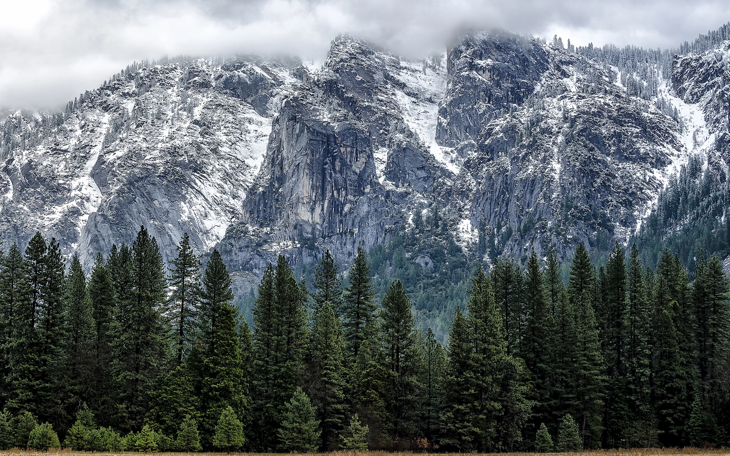 2500x1563 Thank Apple's OS X Yosemite Announcement For This Collection Of Desktop & iPhone WallPapers